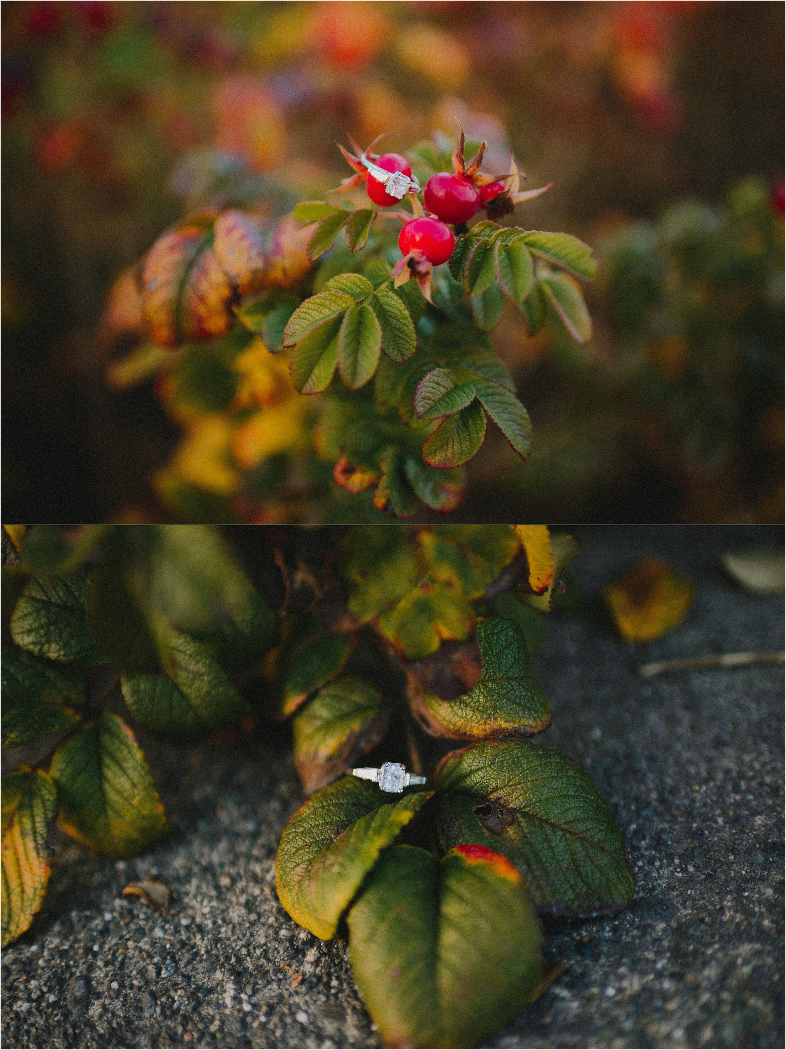 titlow-beach-park-engagement-session-jannicka-mayte-anchorage-alaska-wedding-photographer_0021.jpg