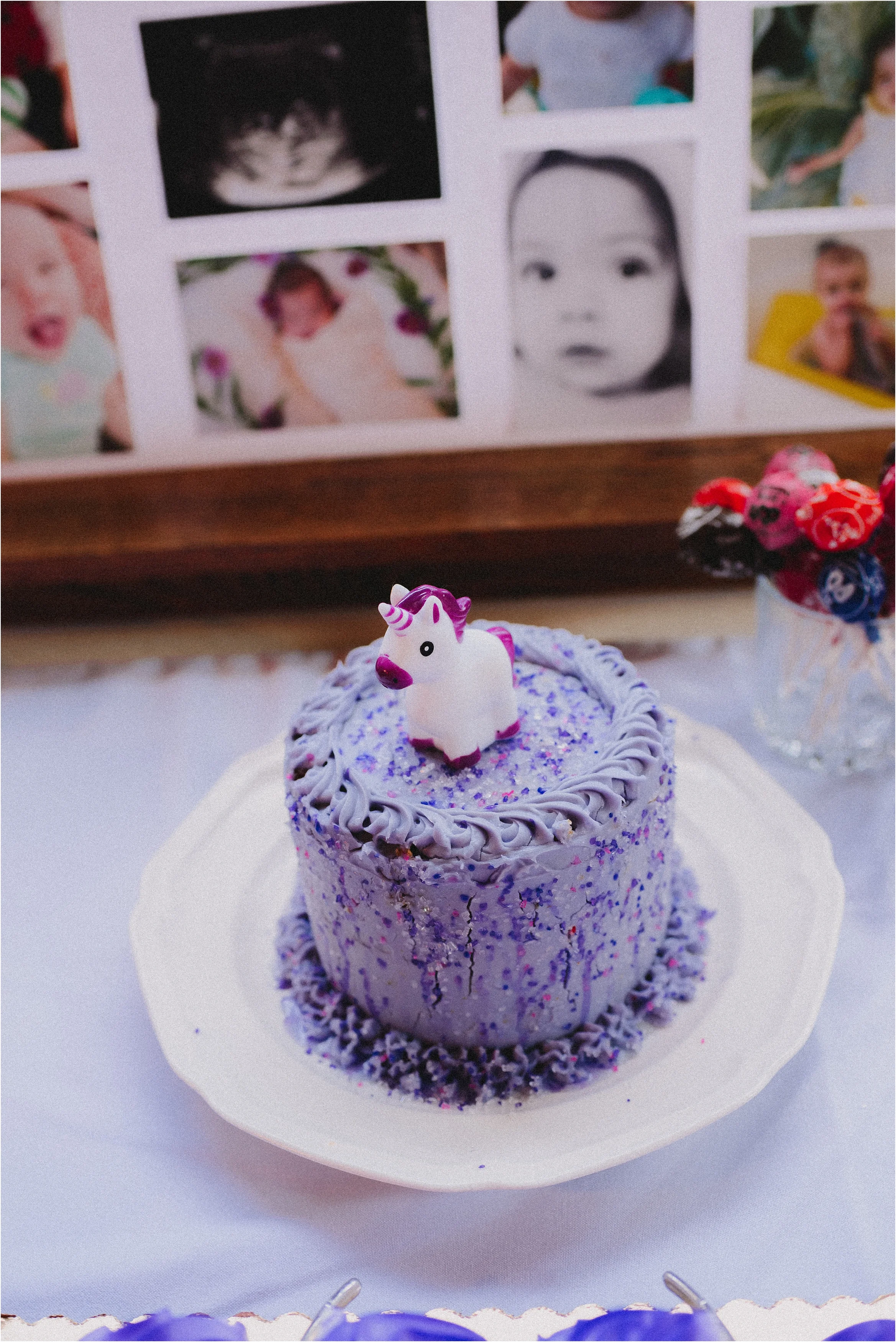 unicorn-first-birthday-party-vashon-island-jannicka-mayte-anchorage-alaska-photographer_0006.jpg
