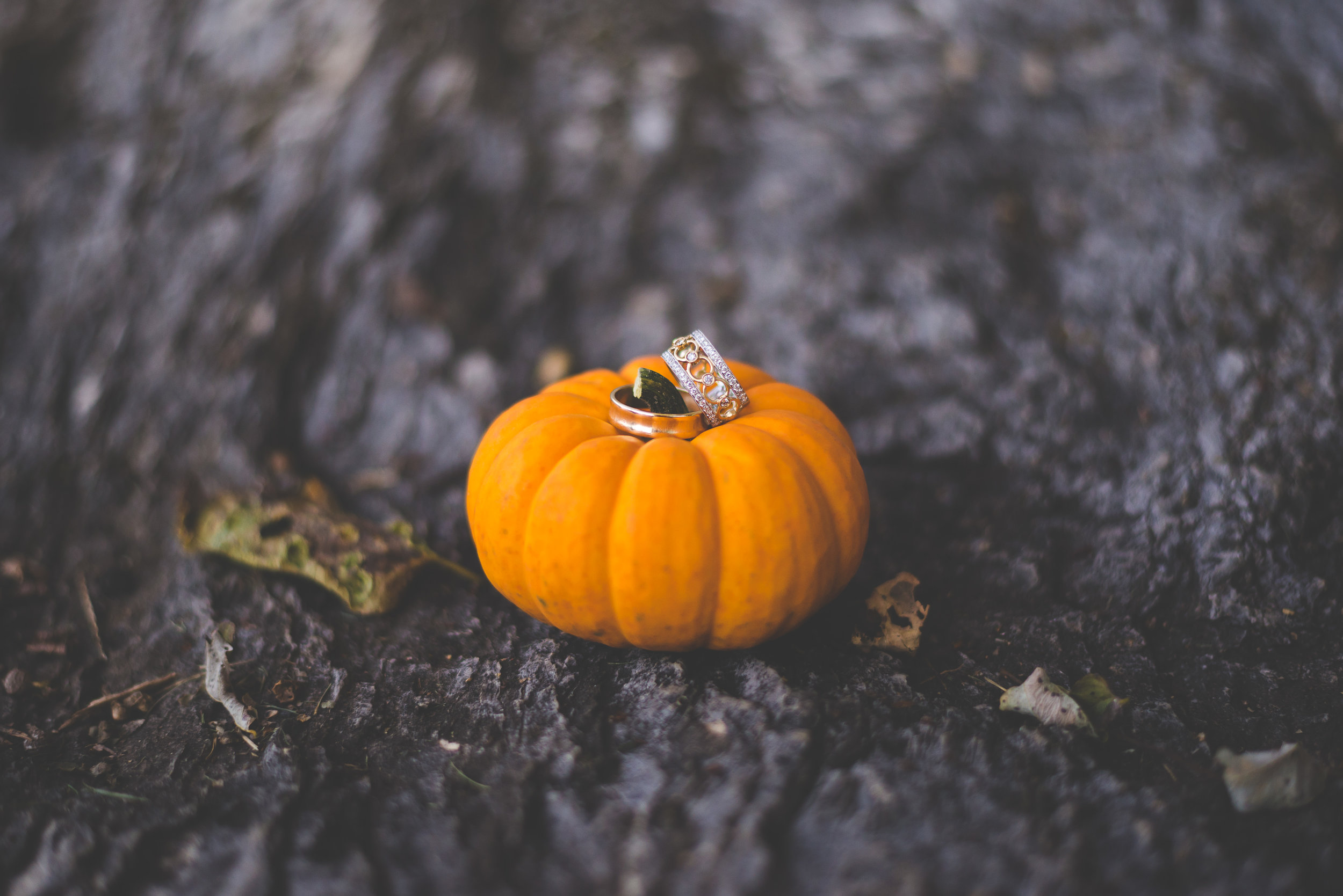 anchorage-intimate-wedding-photographer.jpg
