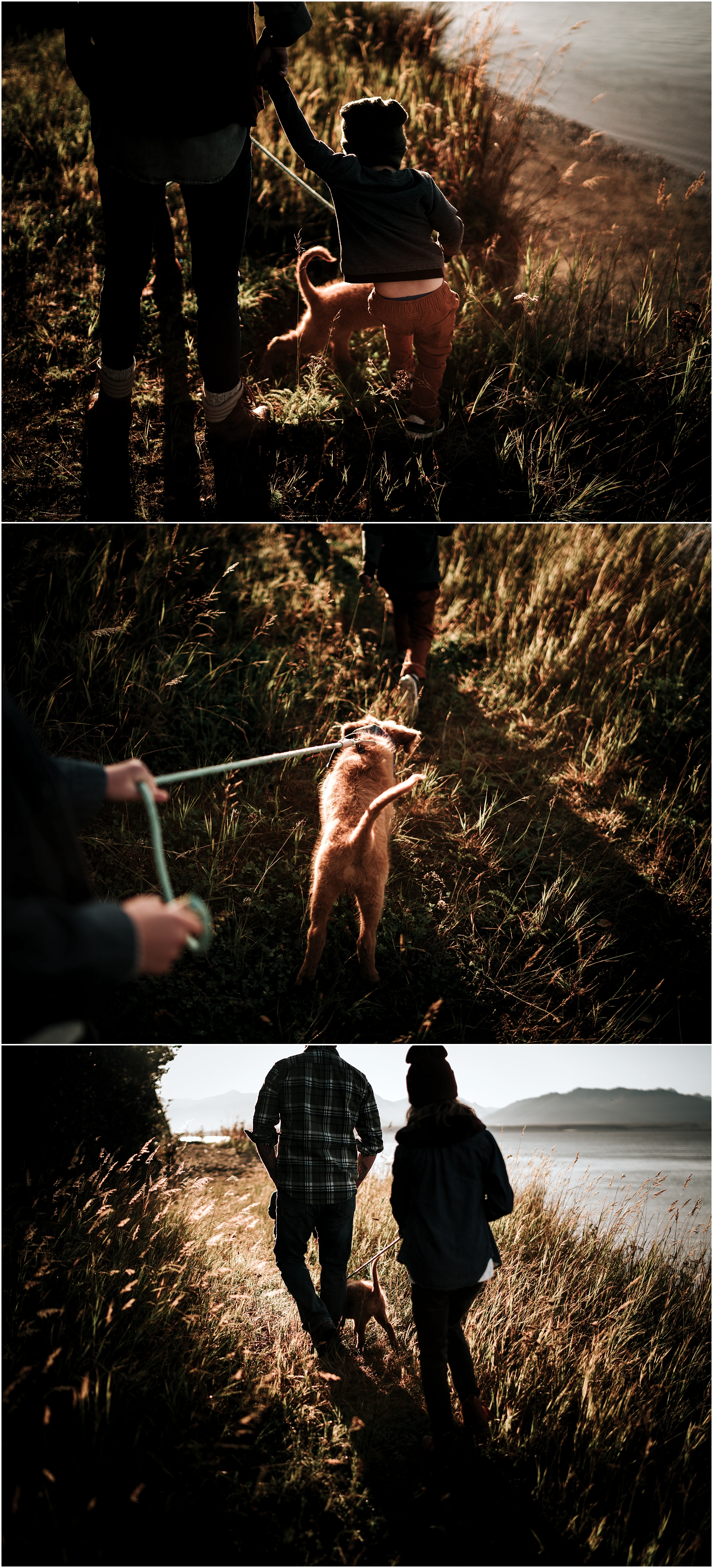 way-up-north-photography-anchorage-wasilla-alaska-lifestyle-family-wedding-elopement-photographer_0005.jpg