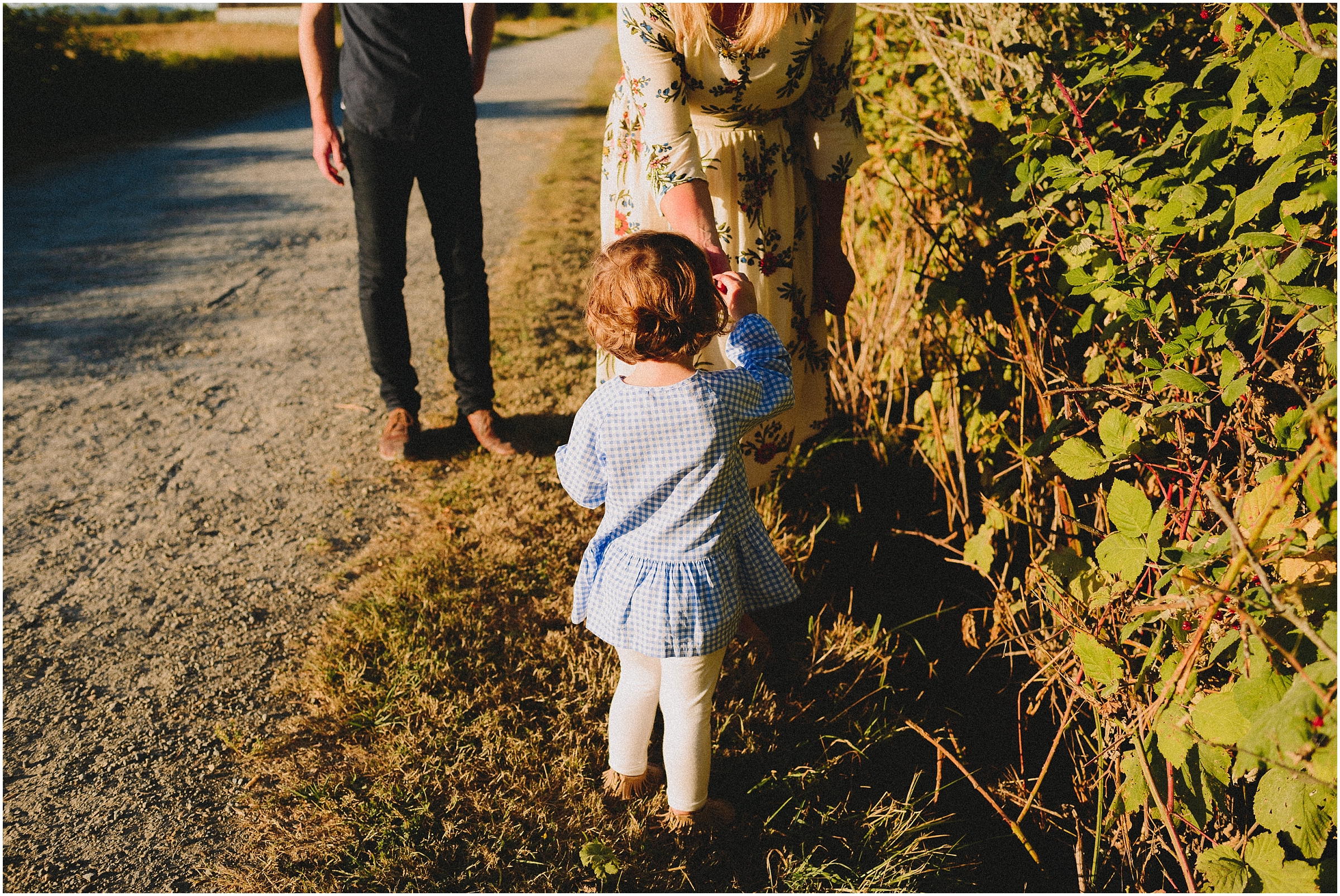 way-up-north-photography-alaska-family-photographer-nisqually-wildlife-refuge-olympia-washington-family-session_0052.jpg
