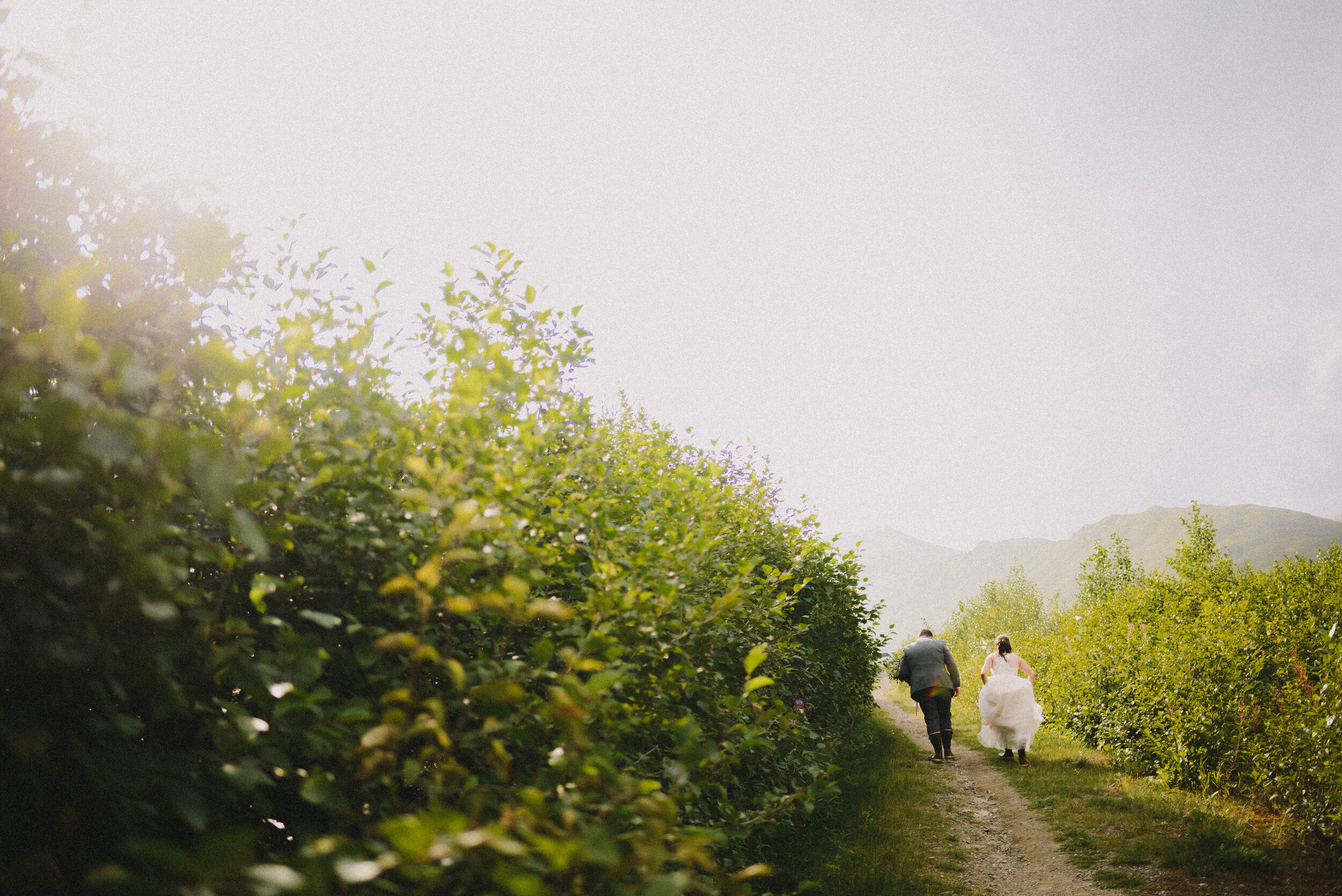 hatcher-pass-wedding-palmer-alaska-way-up-north-photography (32).jpg