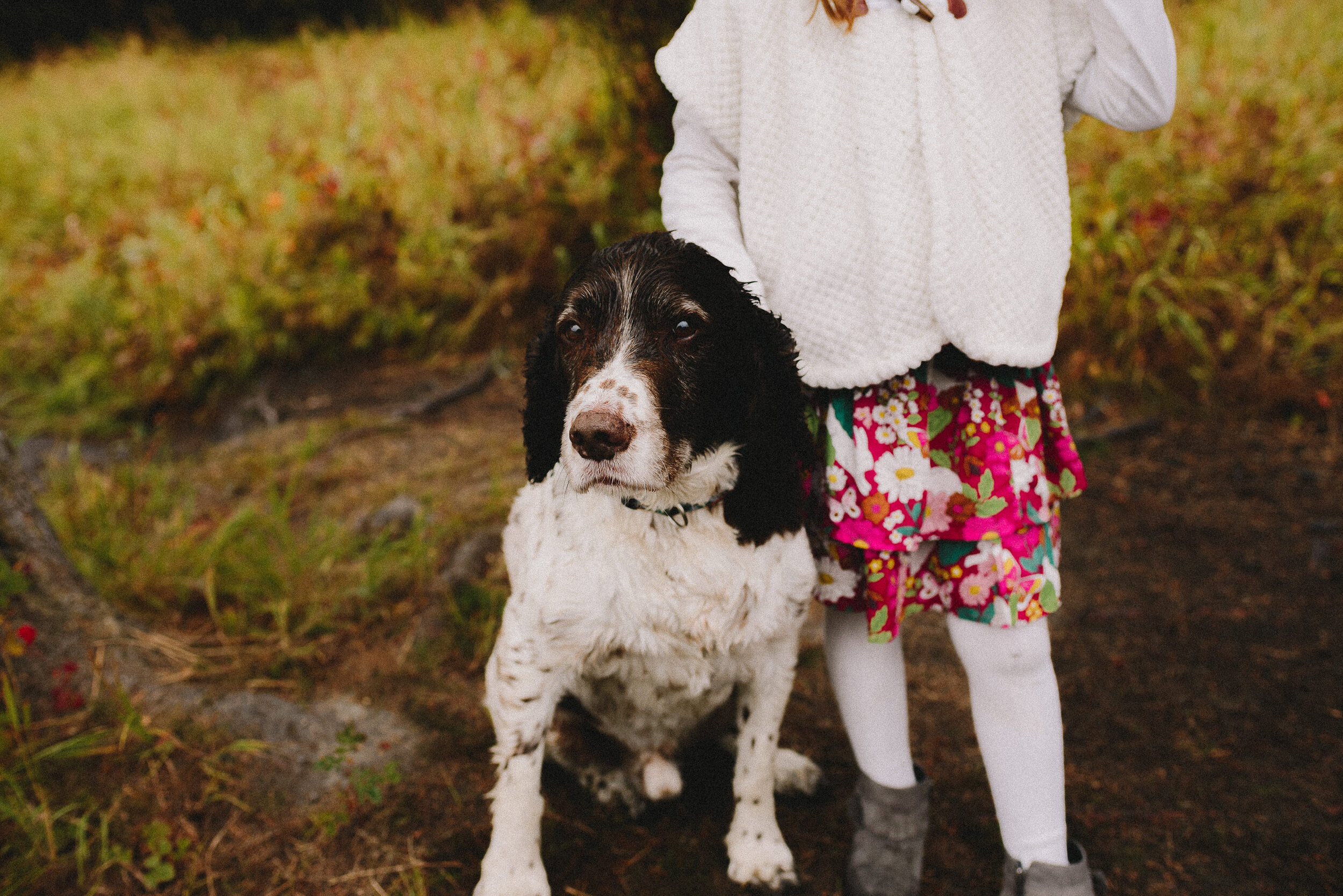 north-fork-eagle-river-fall-family-session-alaska-photographer-way-up-north-photography (296).jpg