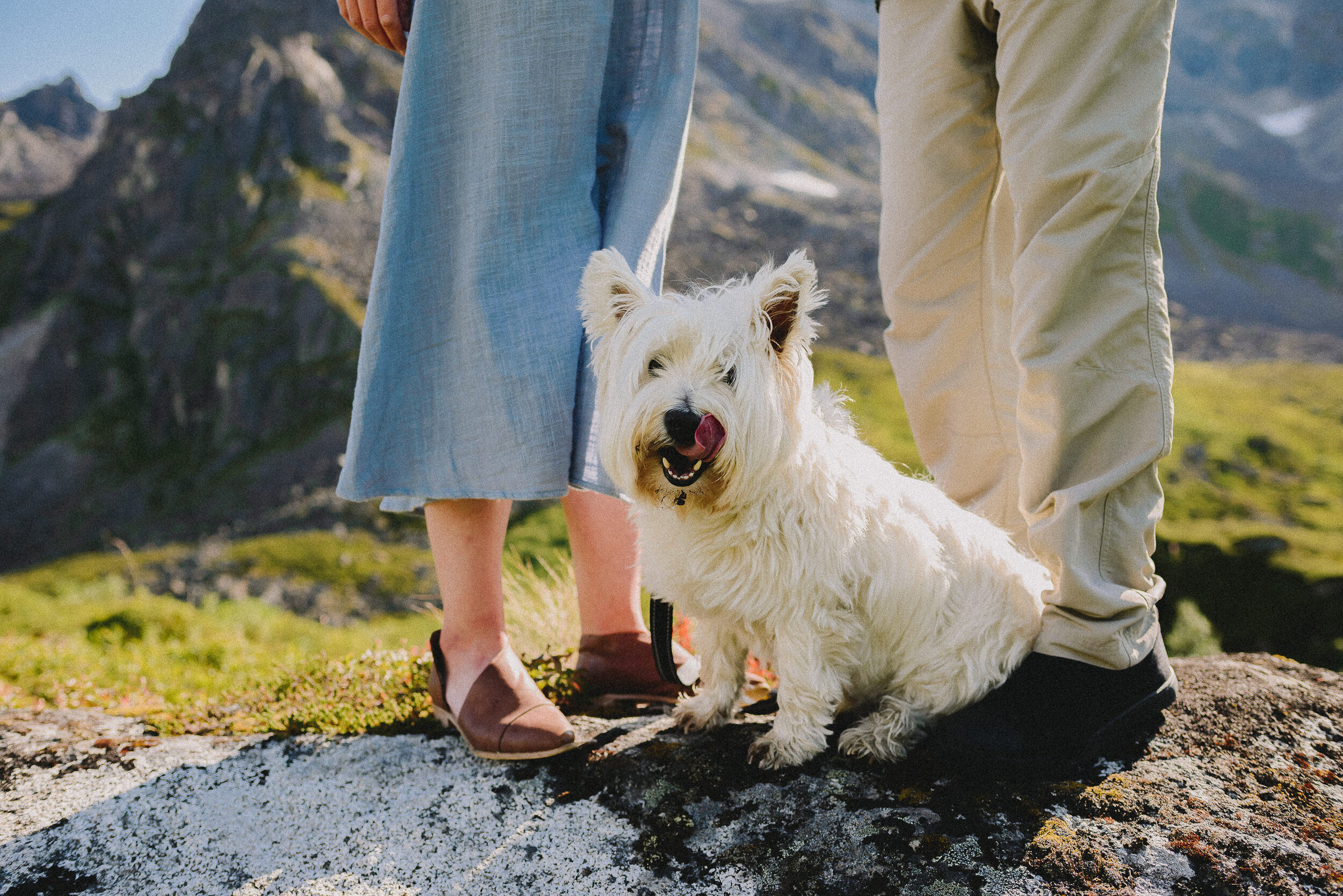 hatcher-pass-adventure-family-session-alaska-photographer-way-up-north-photography (80).jpg