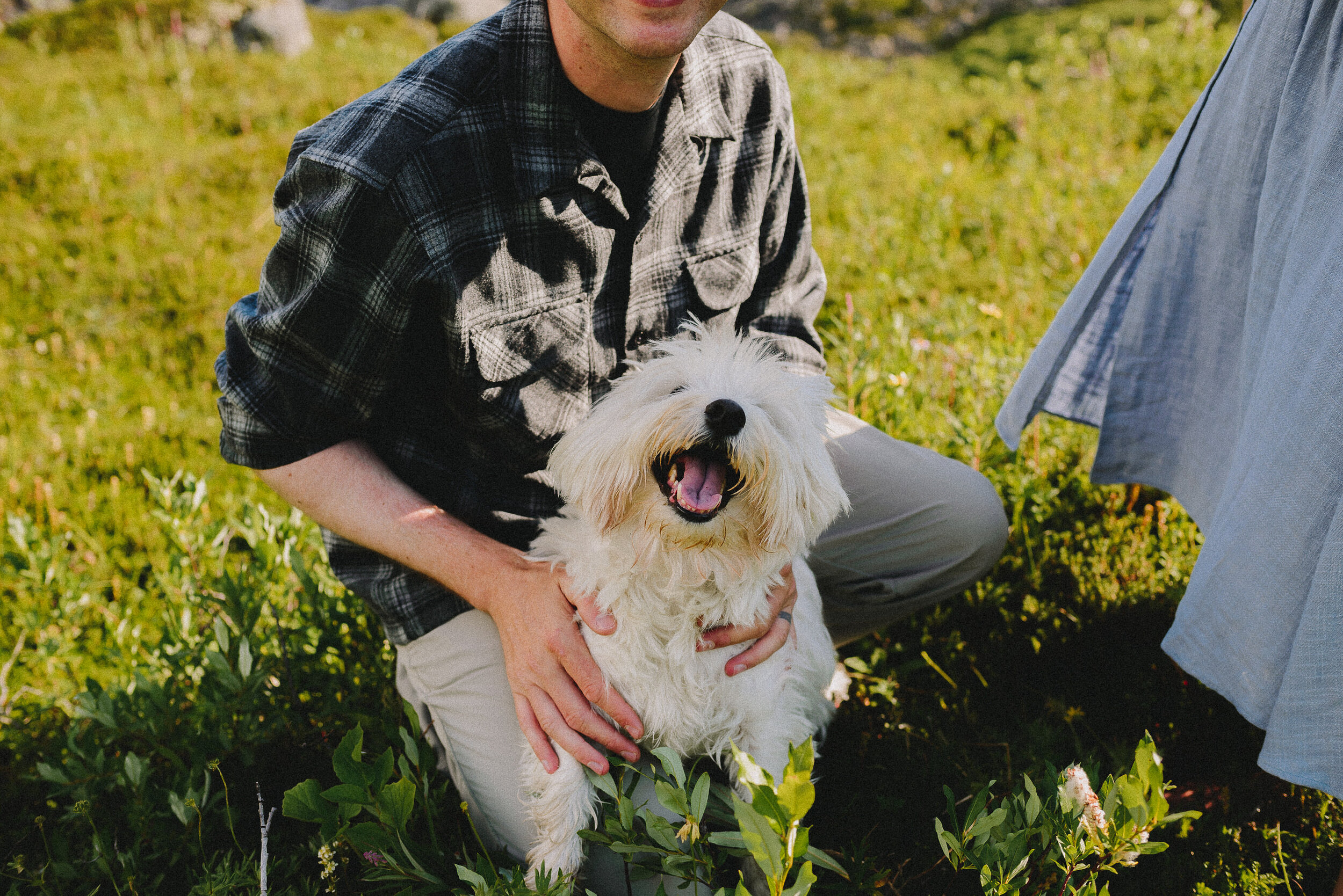 hatcher-pass-adventure-family-session-alaska-photographer-way-up-north-photography (190).jpg