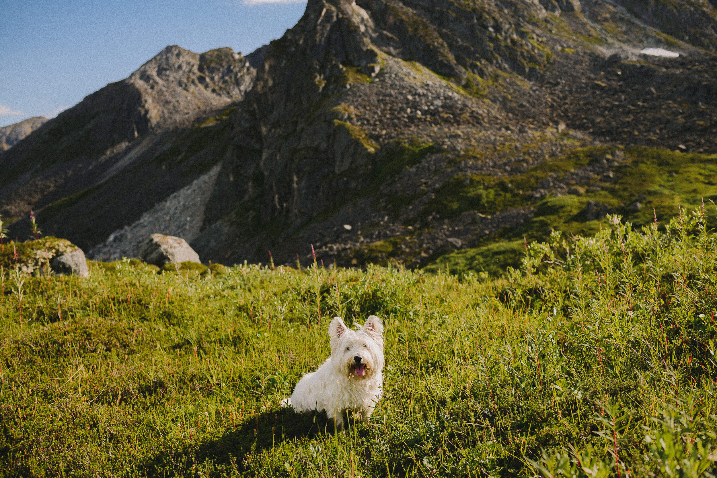 hatcher-pass-adventure-family-session-alaska-photographer-way-up-north-photography (241).jpg