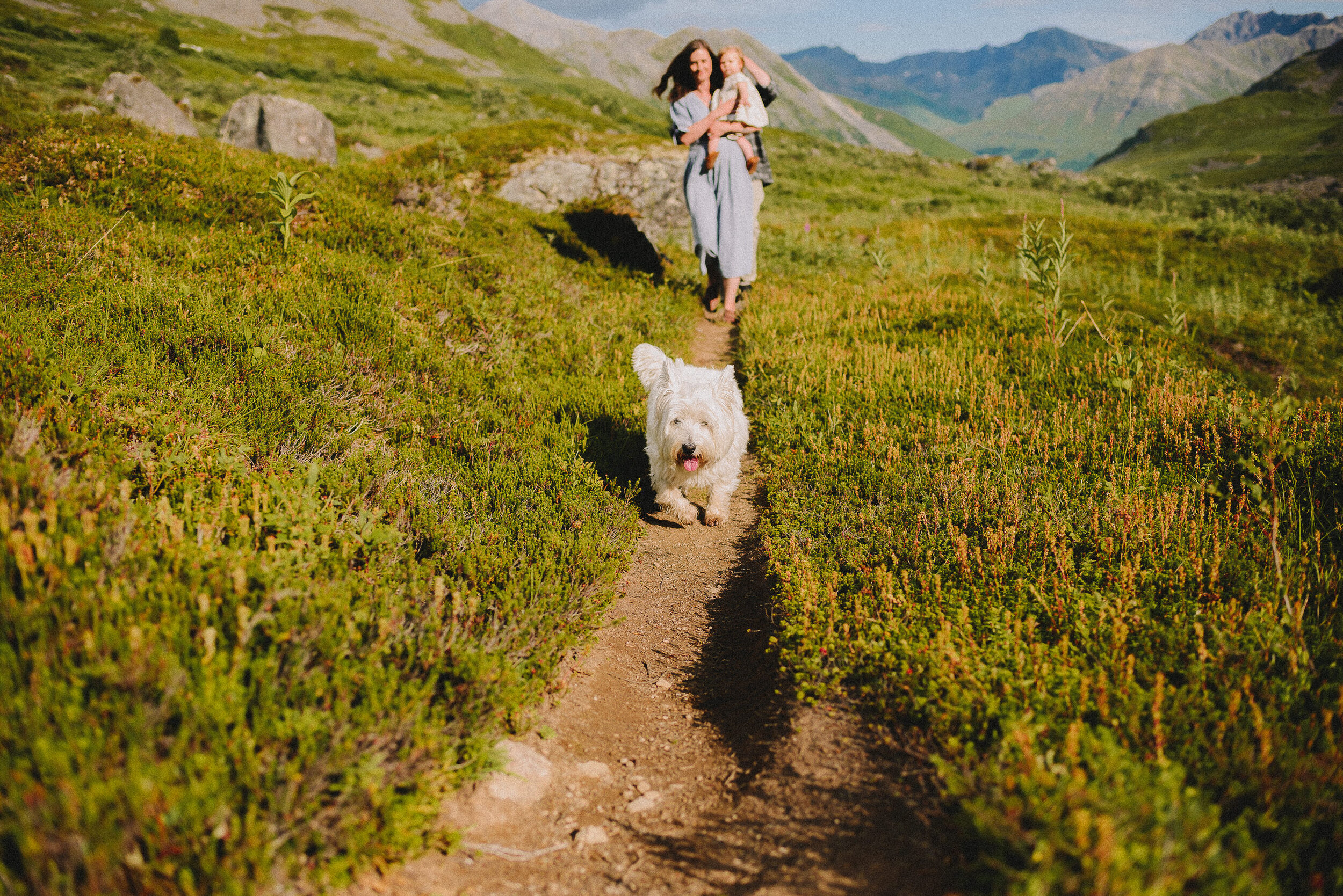 hatcher-pass-adventure-family-session-alaska-photographer-way-up-north-photography (376).jpg
