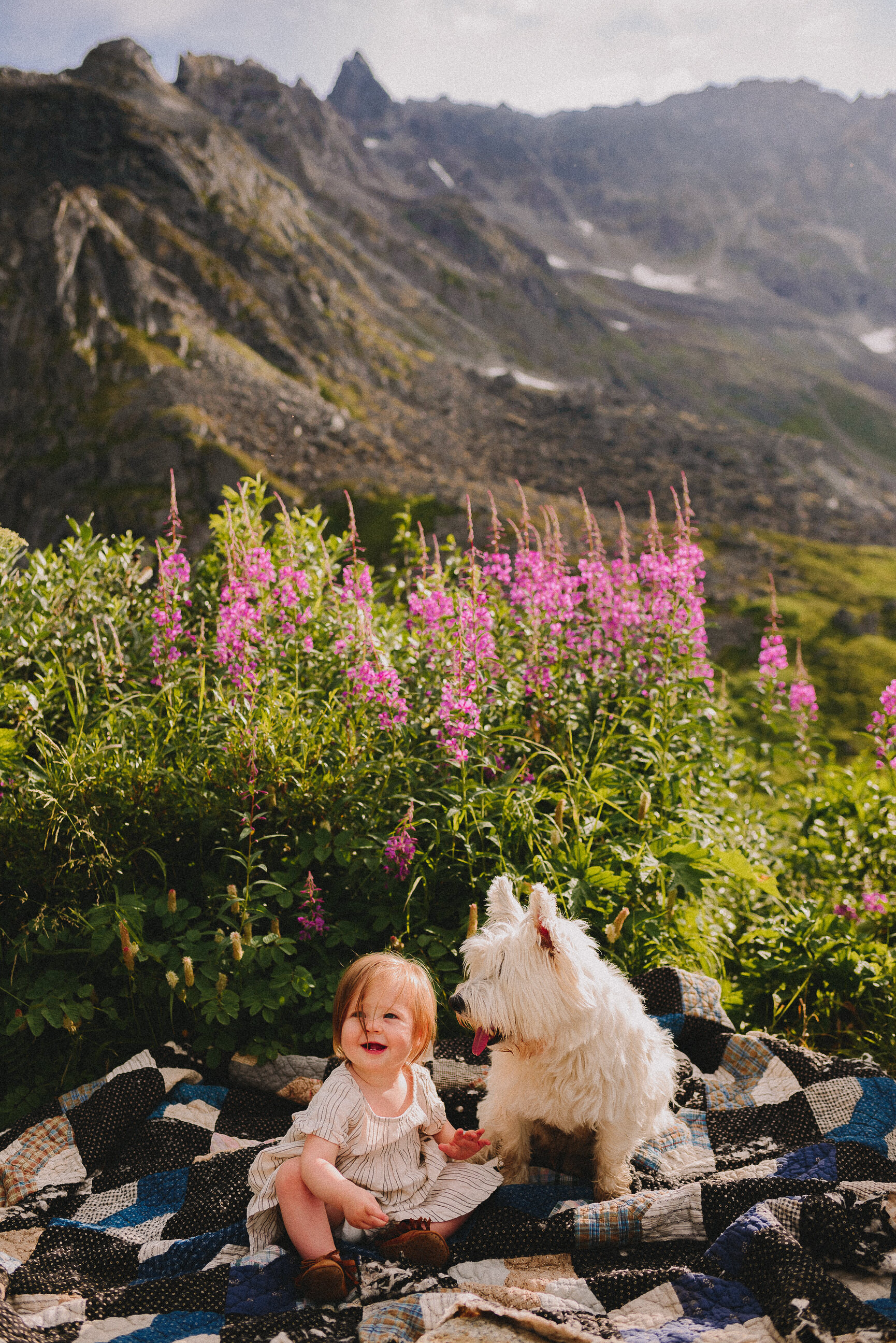 hatcher-pass-adventure-family-session-alaska-photographer-way-up-north-photography (570).jpg