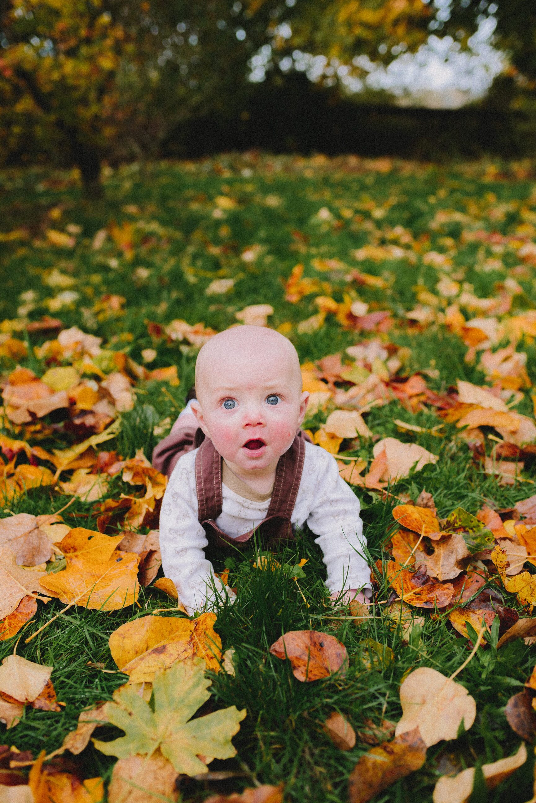 nisqually-wildlife-refuge-fall-family-session-olympia-washington-way-up-north-photography (109).jpg