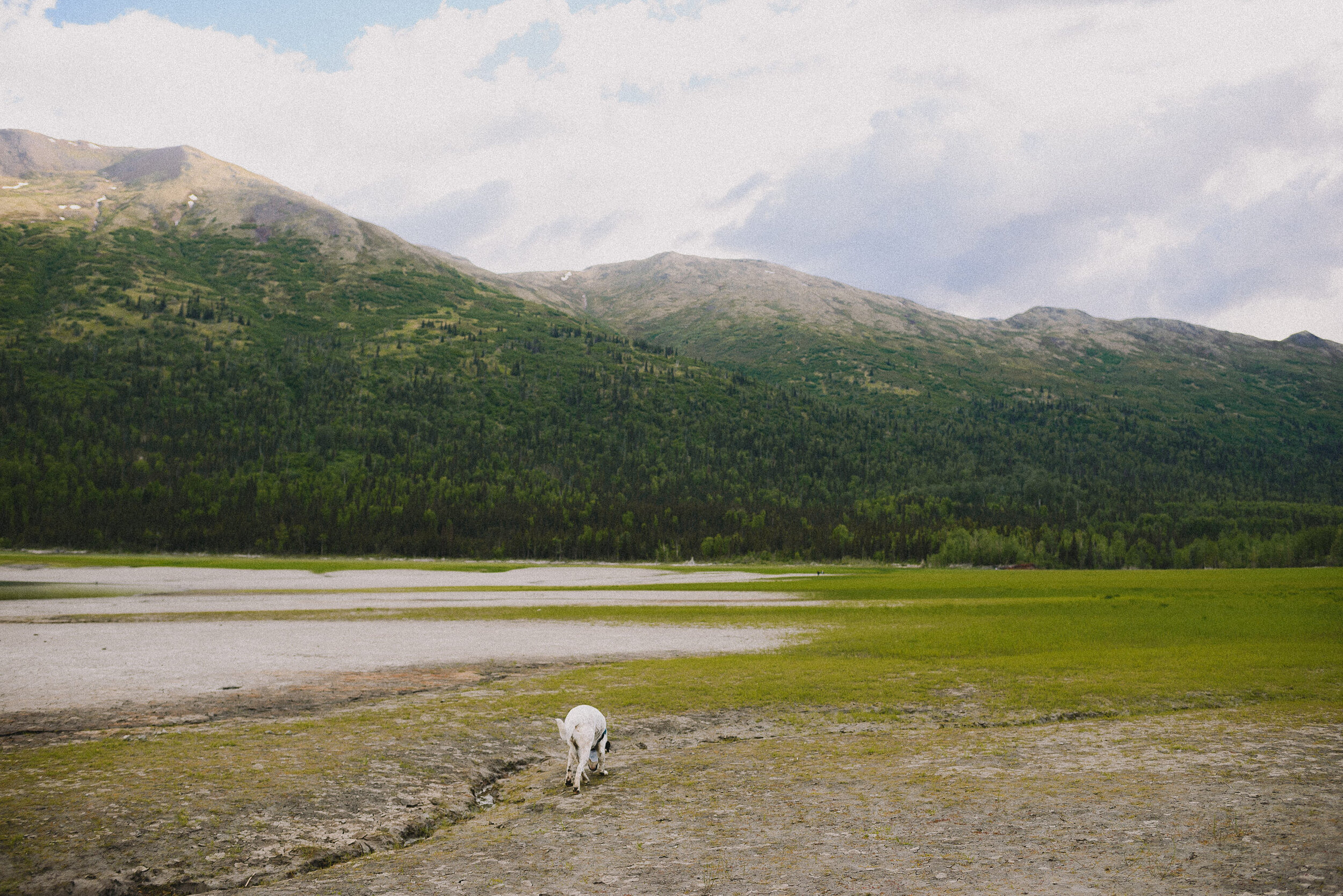 eklutna-lake-summer-family-session-alaska-photographer-way-up-north-photography (136).jpg