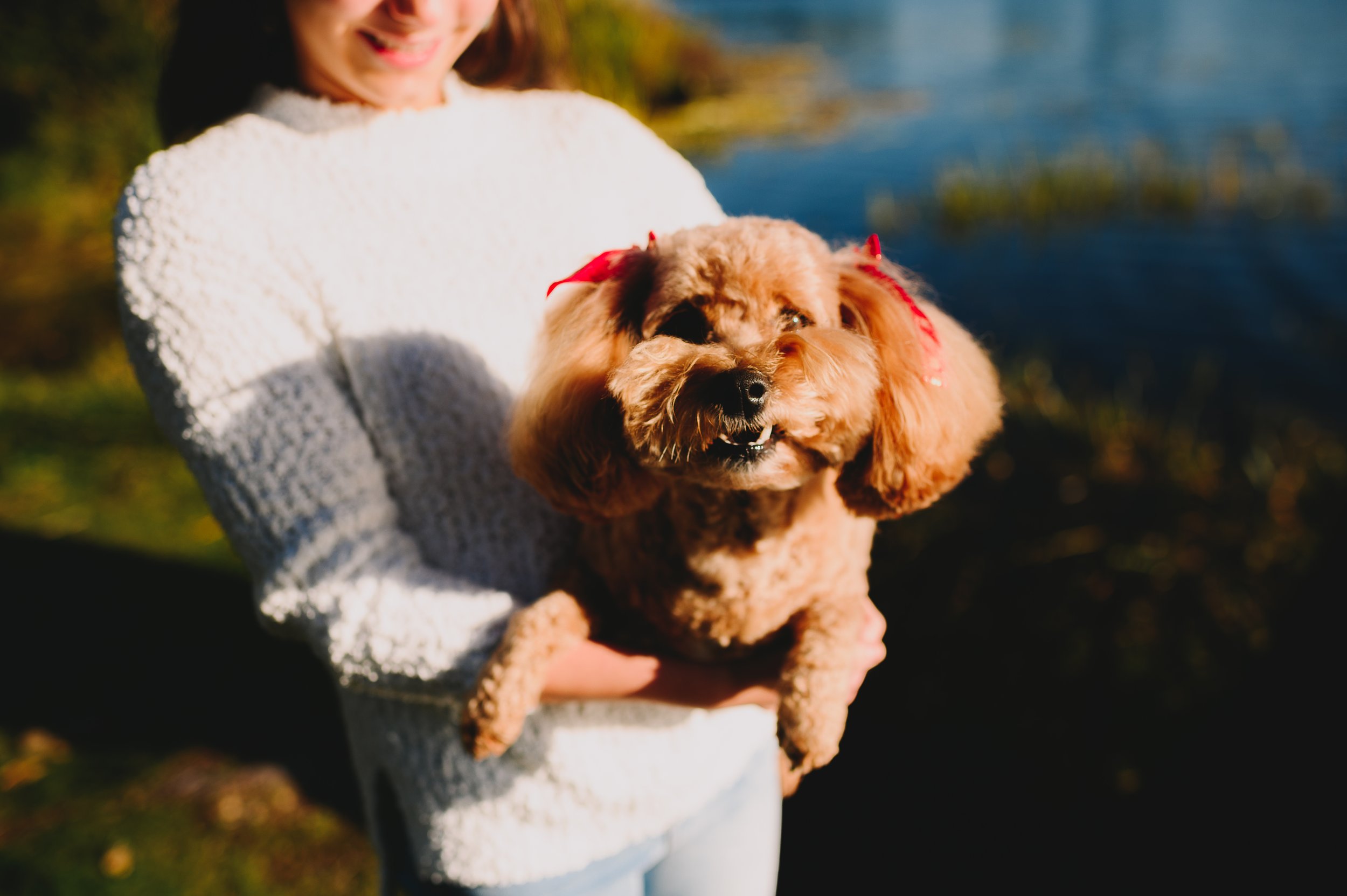 millersylvania-family-session-olympia-washington-family-photographer (27).jpg