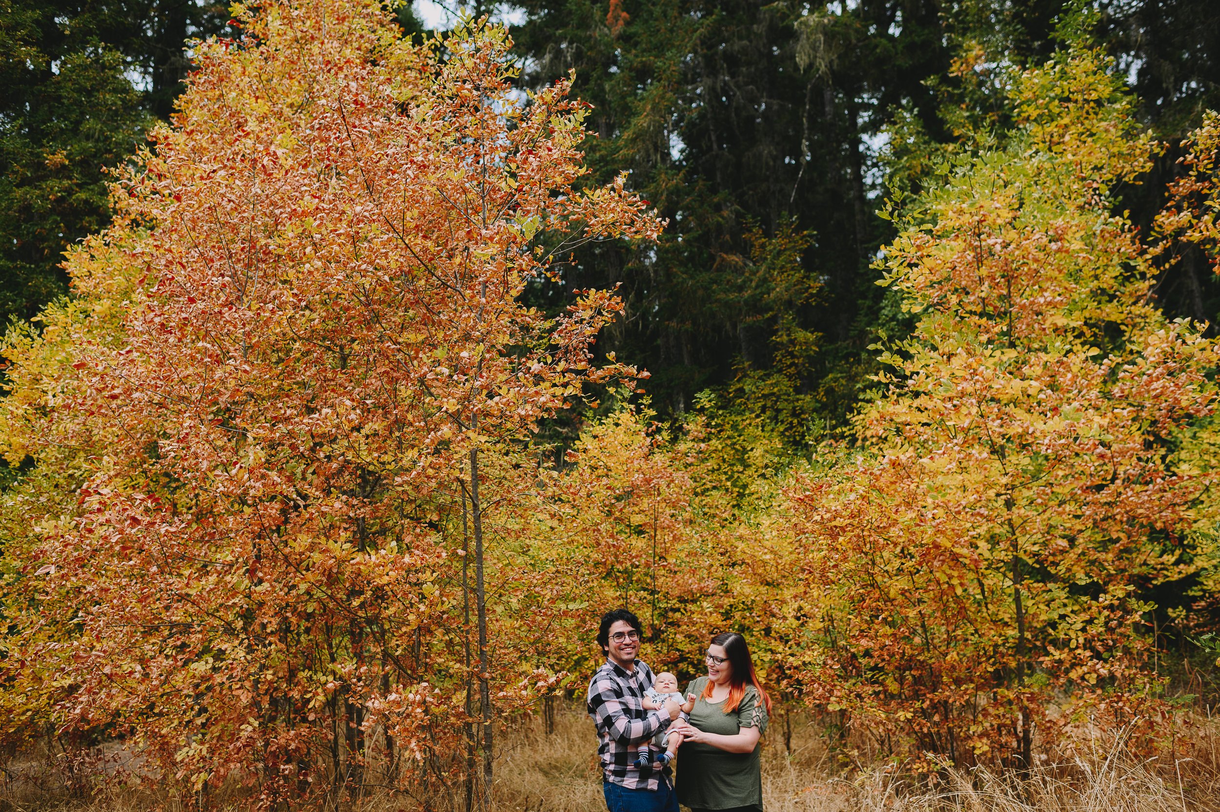 deschutes-falls-park-family-session-yelm-washington-family-photographer (611).jpg