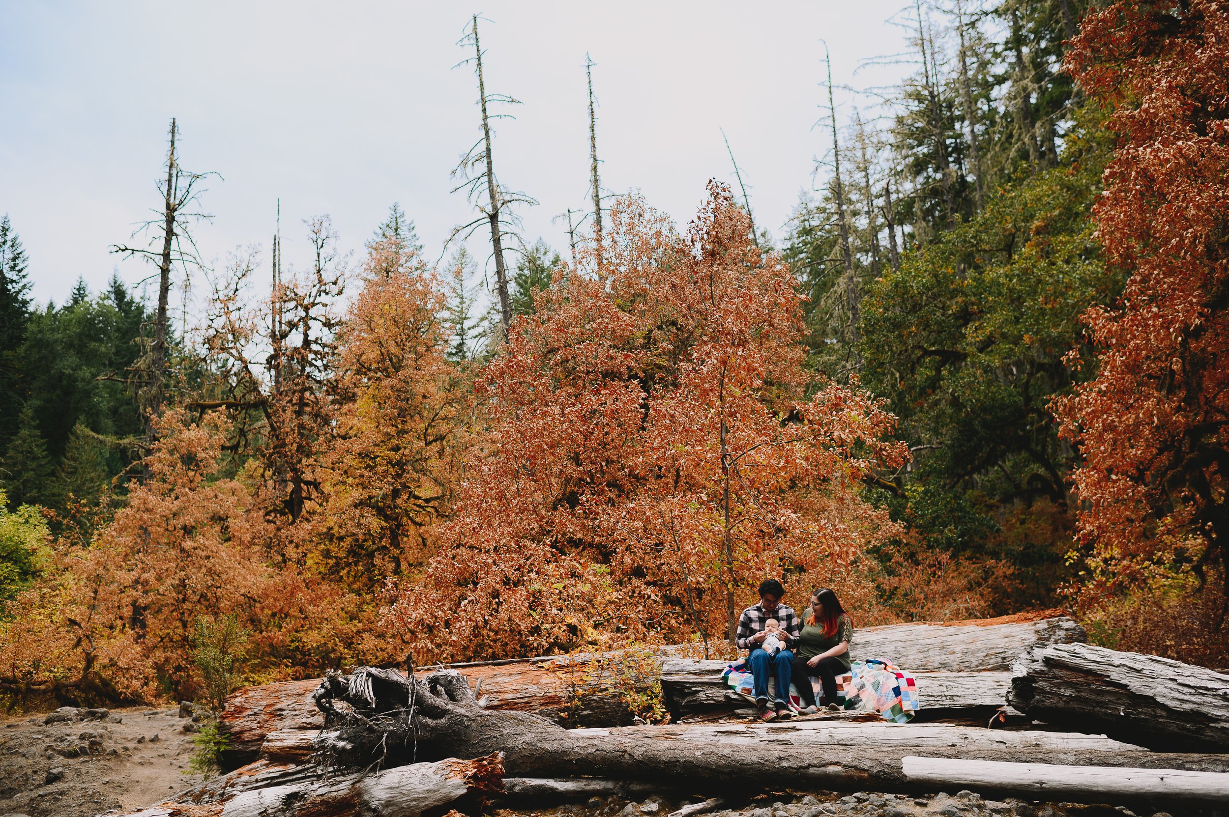 deschutes-falls-park-family-session-yelm-washington-family-photographer (534).jpg