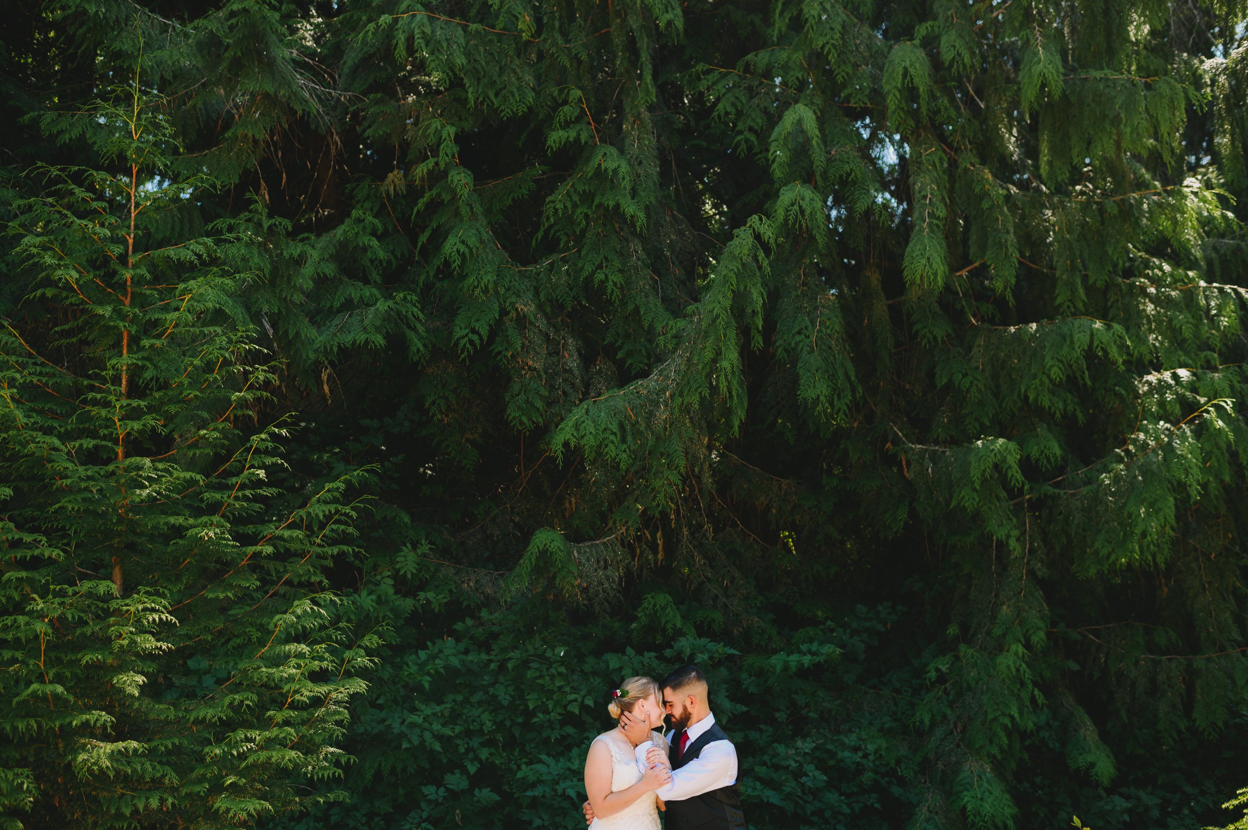 kingston-backyard-wedding-olympia-washington-wedding-photographer (1030).jpg