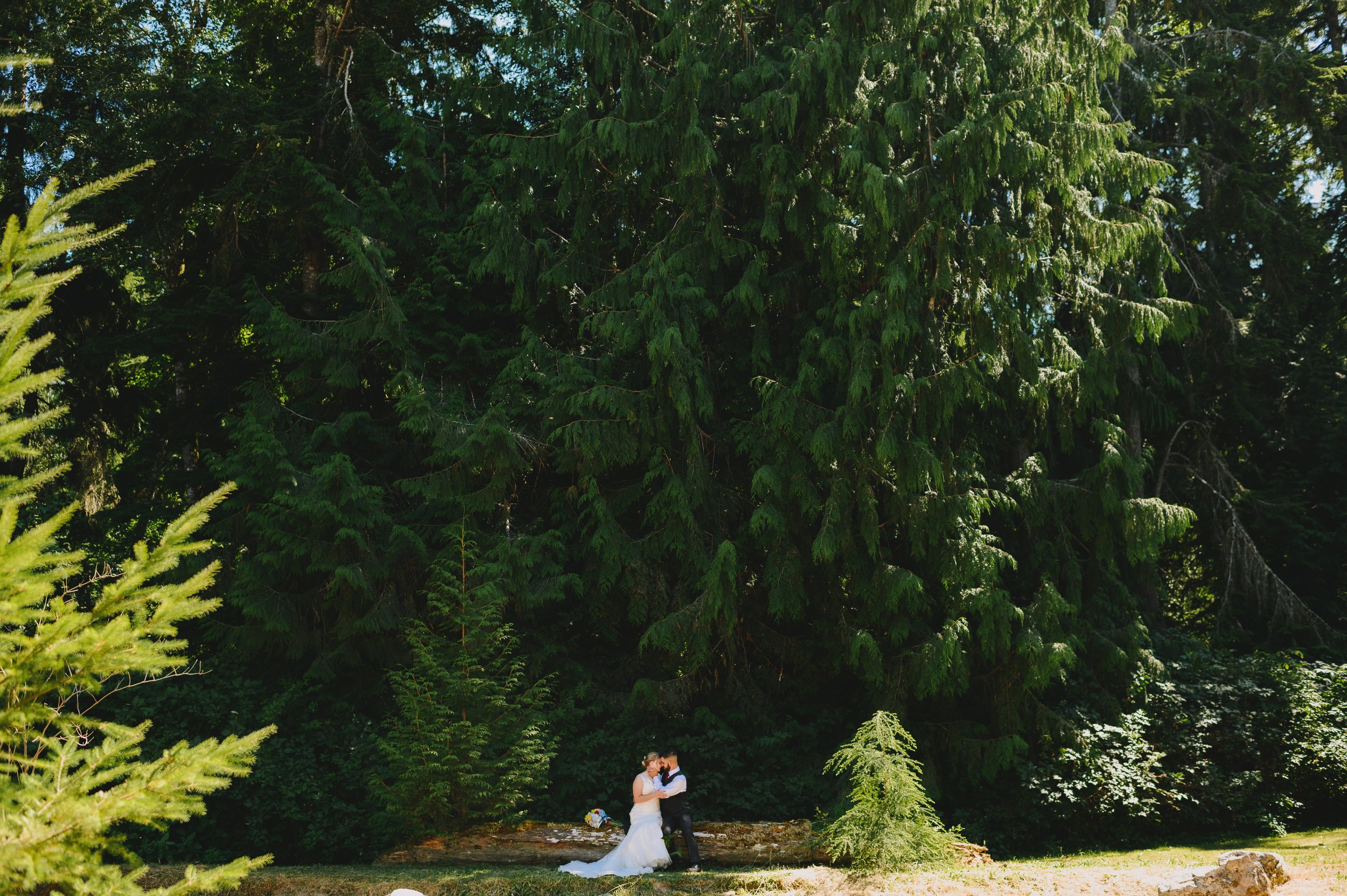 kingston-backyard-wedding-olympia-washington-wedding-photographer (1042).jpg