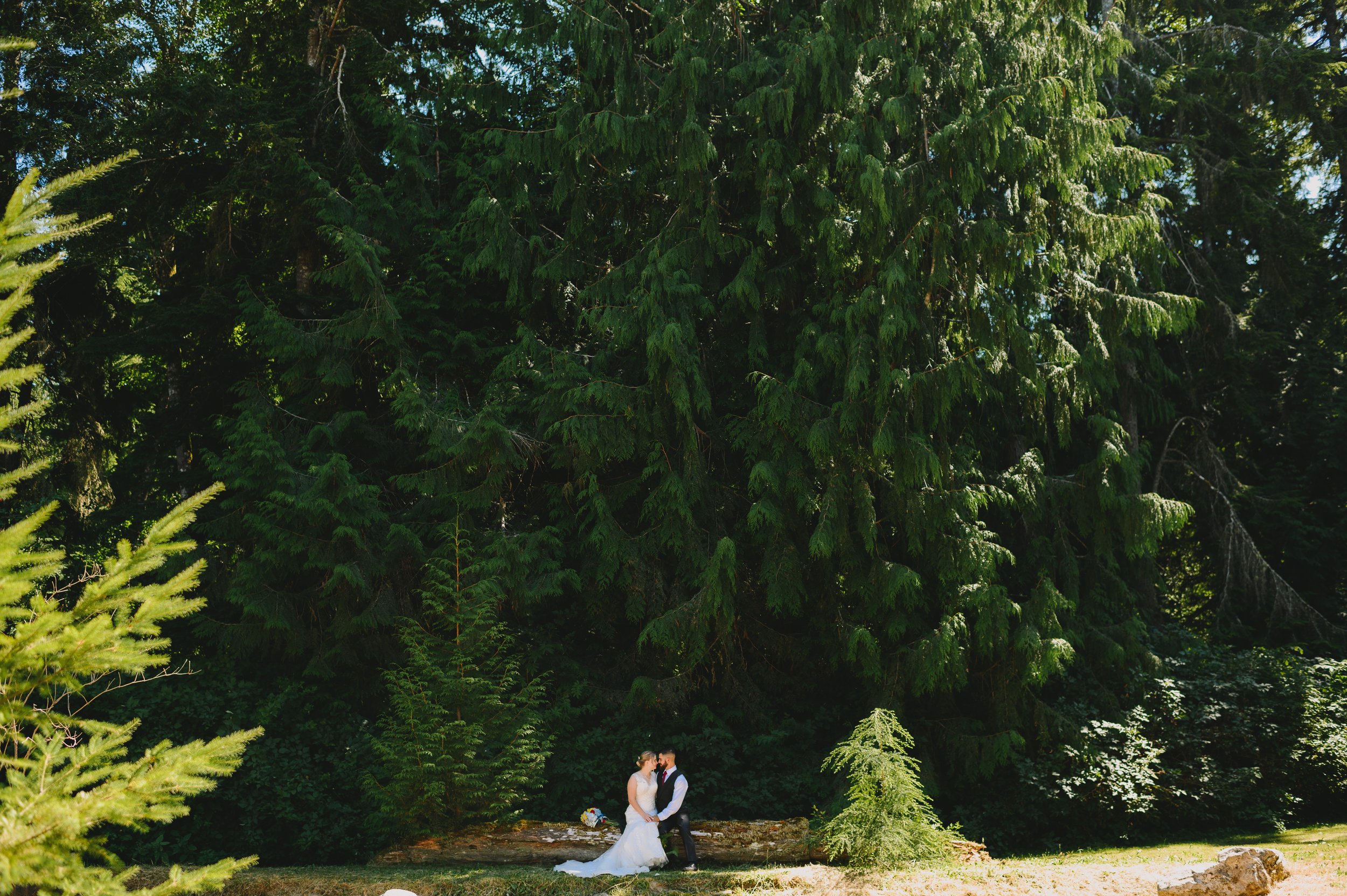 kingston-backyard-wedding-olympia-washington-wedding-photographer (1040).jpg