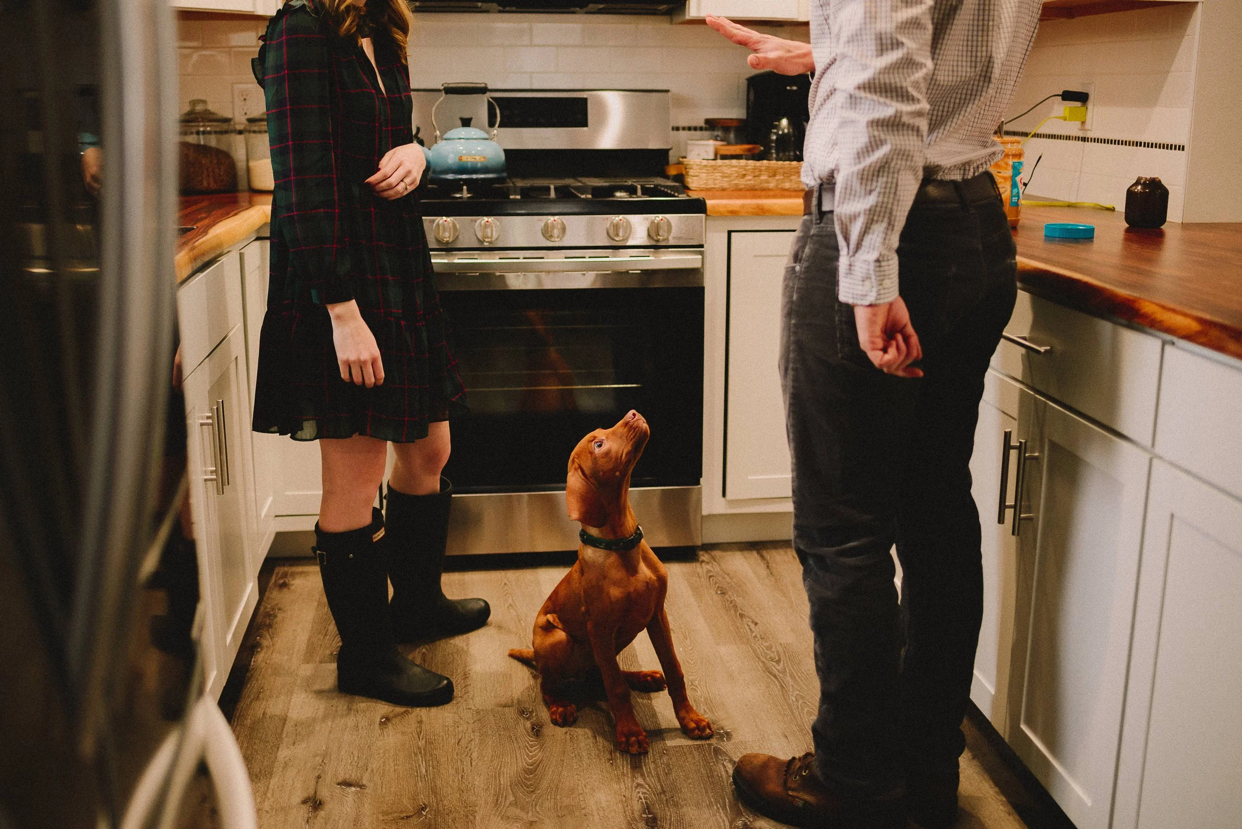 in-home-family-session-olympia-washington-family-photographer (34).jpg