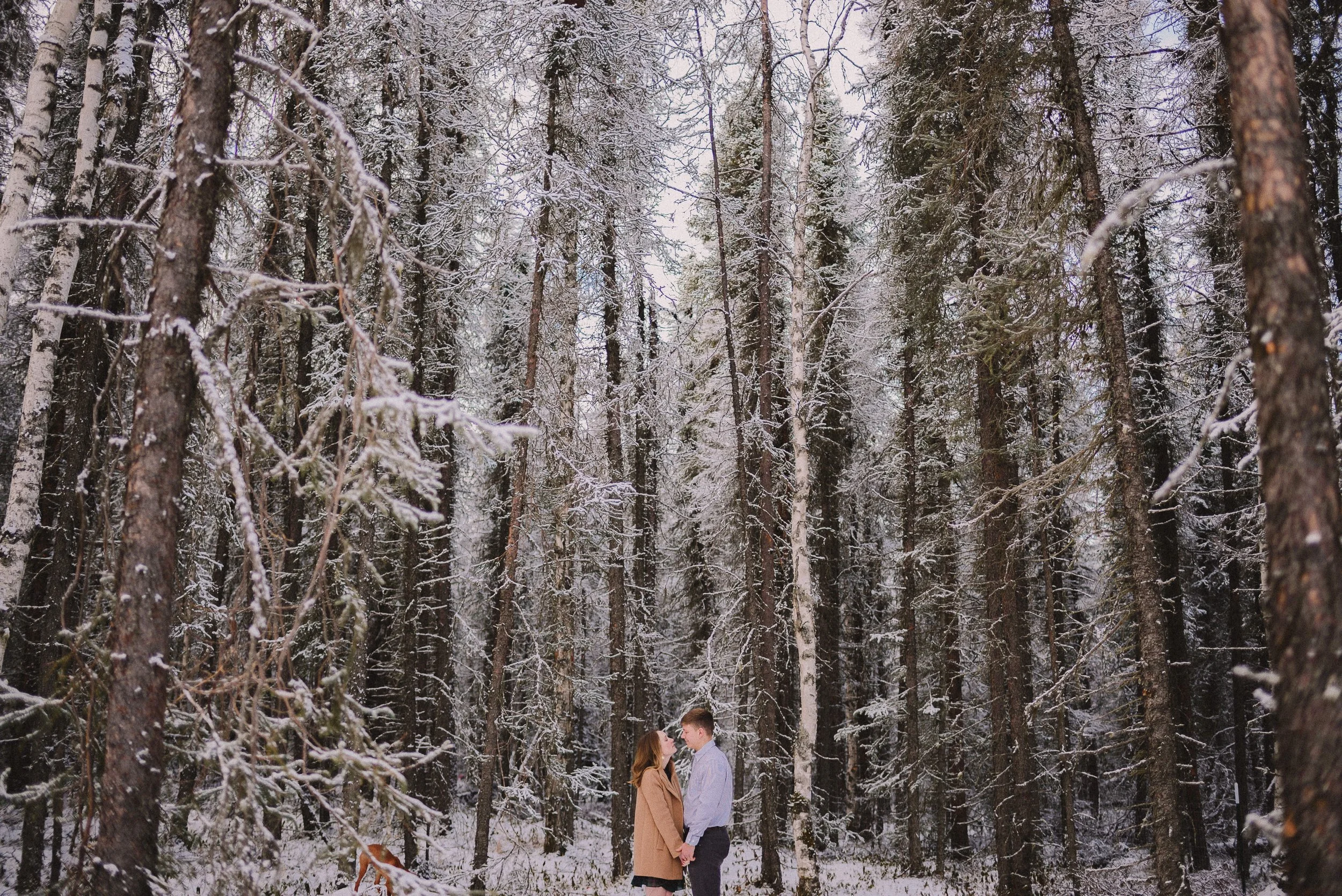 in-home-family-session-olympia-washington-family-photographer (352).jpg