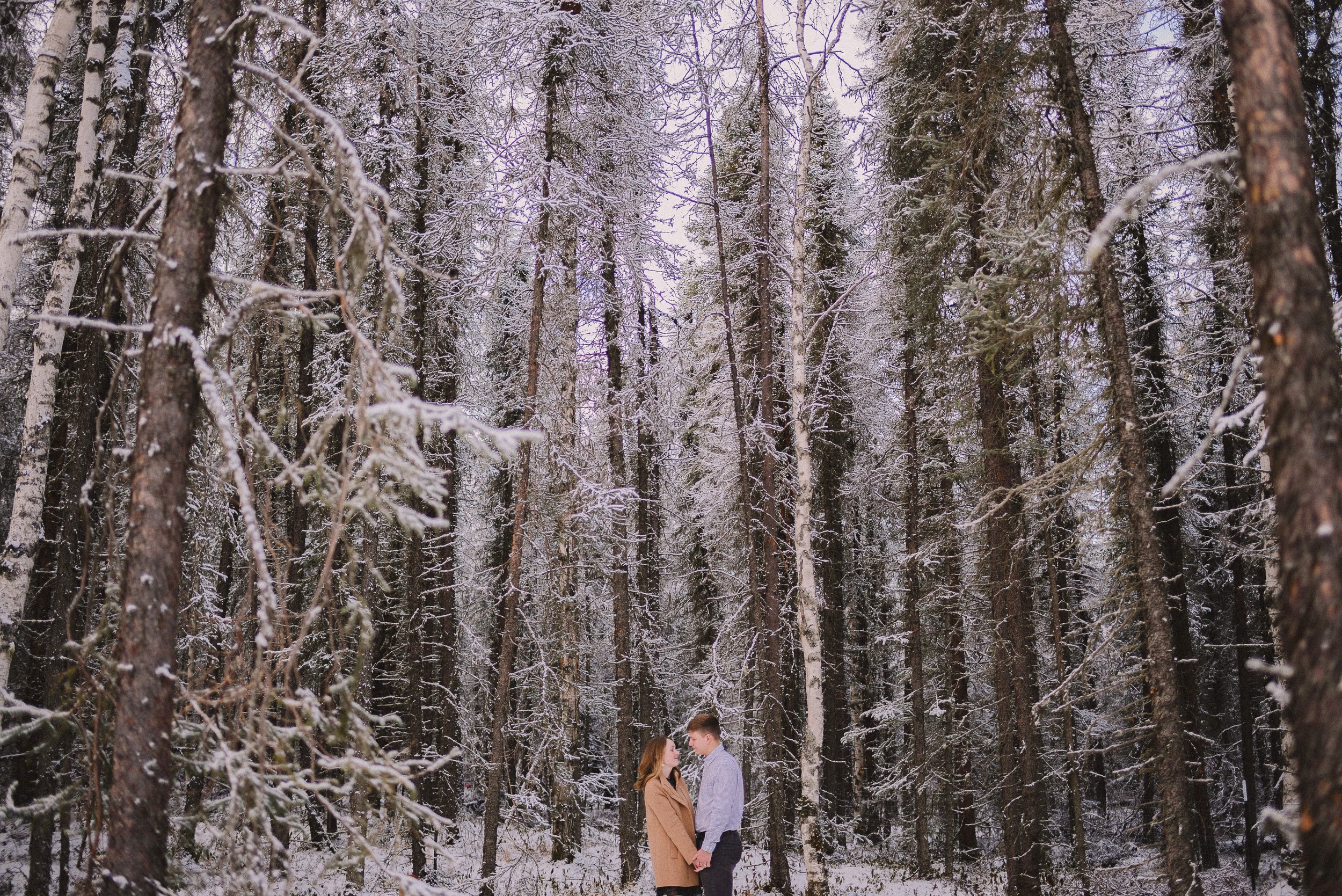 in-home-family-session-olympia-washington-family-photographer (353).jpg