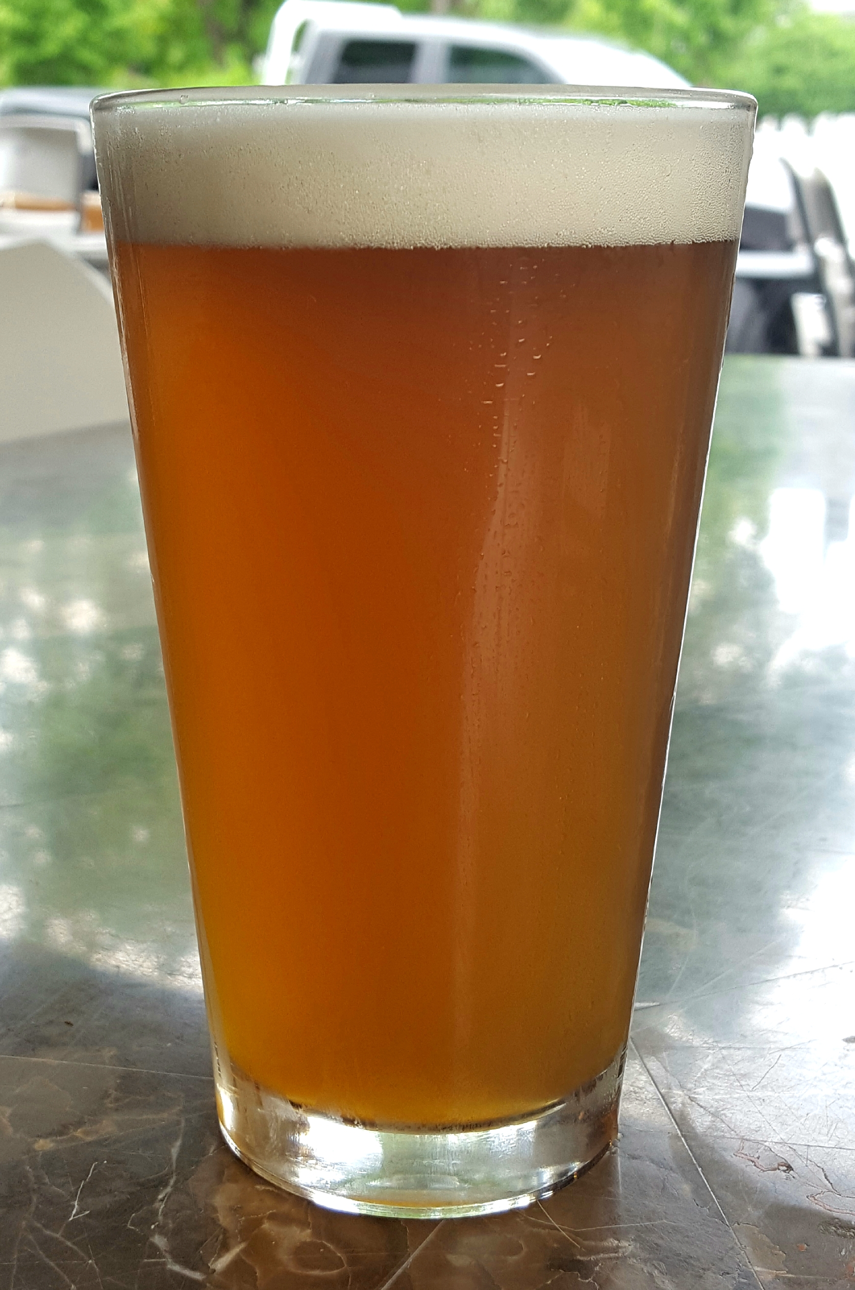 Clearcut IPA