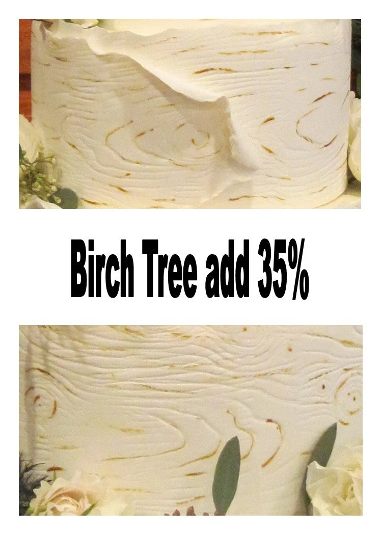 birch tree.jpg