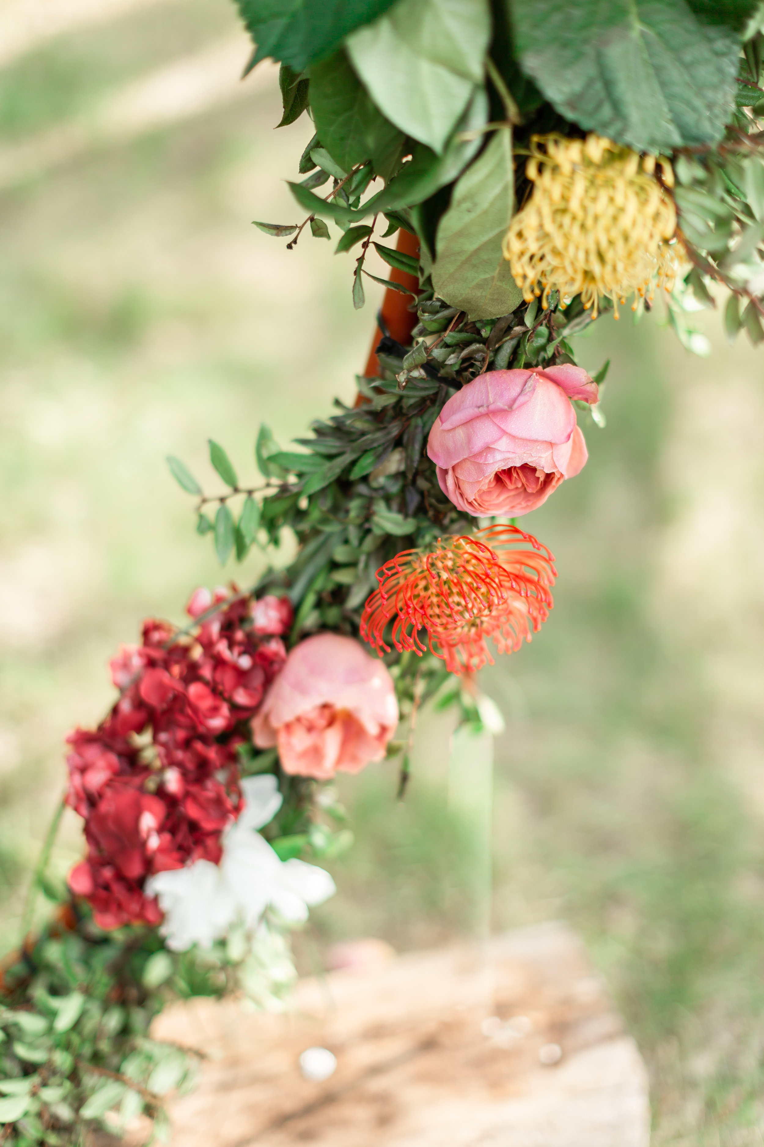 Abigail Berge Photography--424.jpg