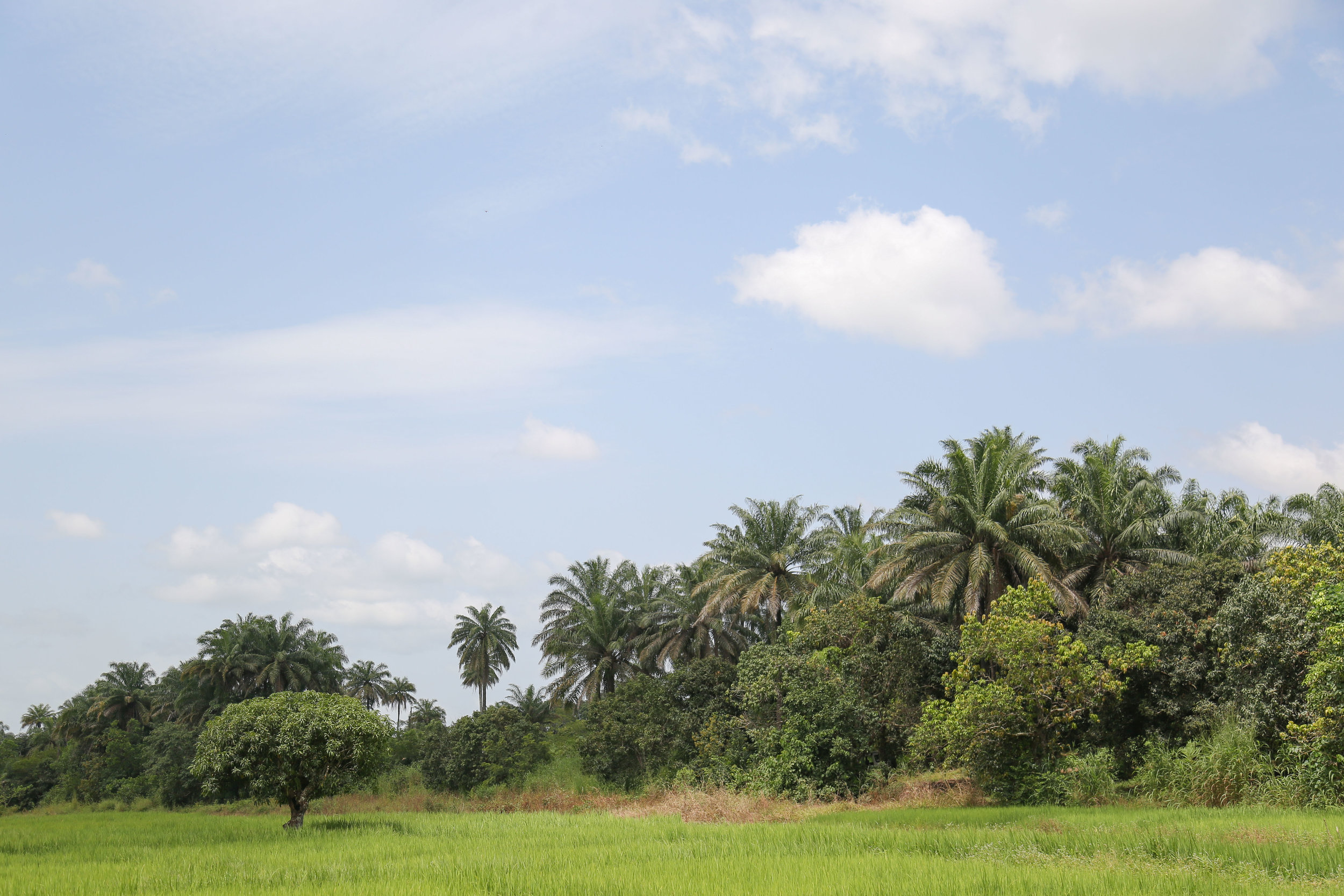 J5760x3840-10562.jpg