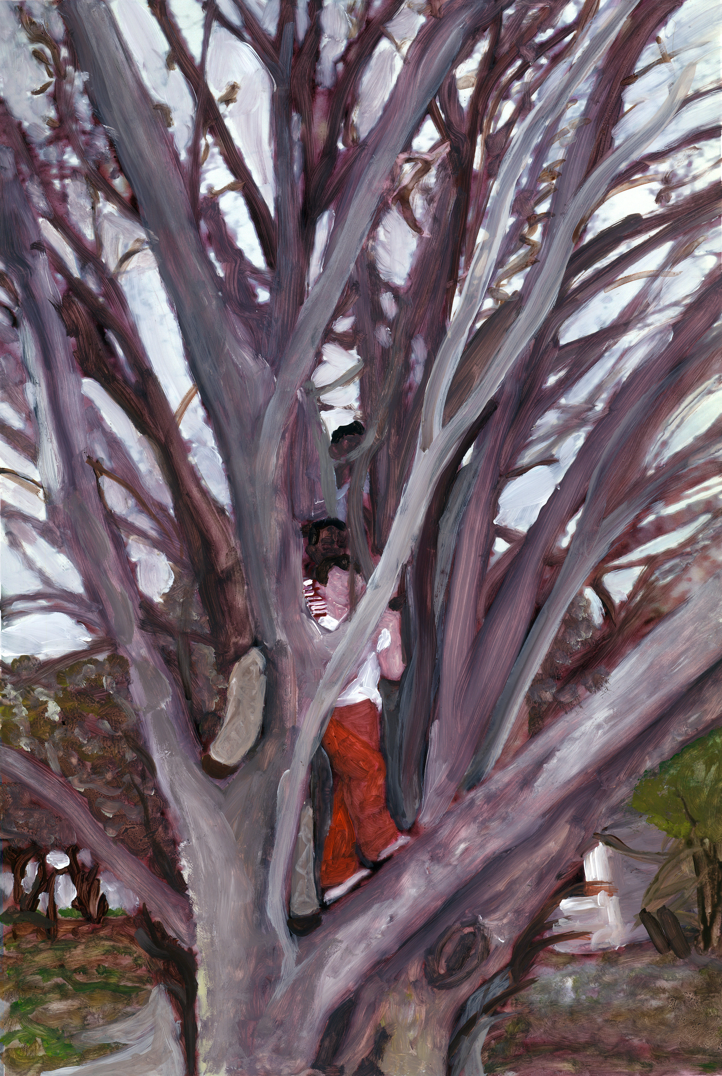 three boys in a tree