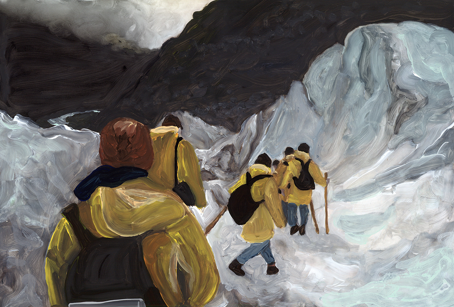 exploring fox glacier