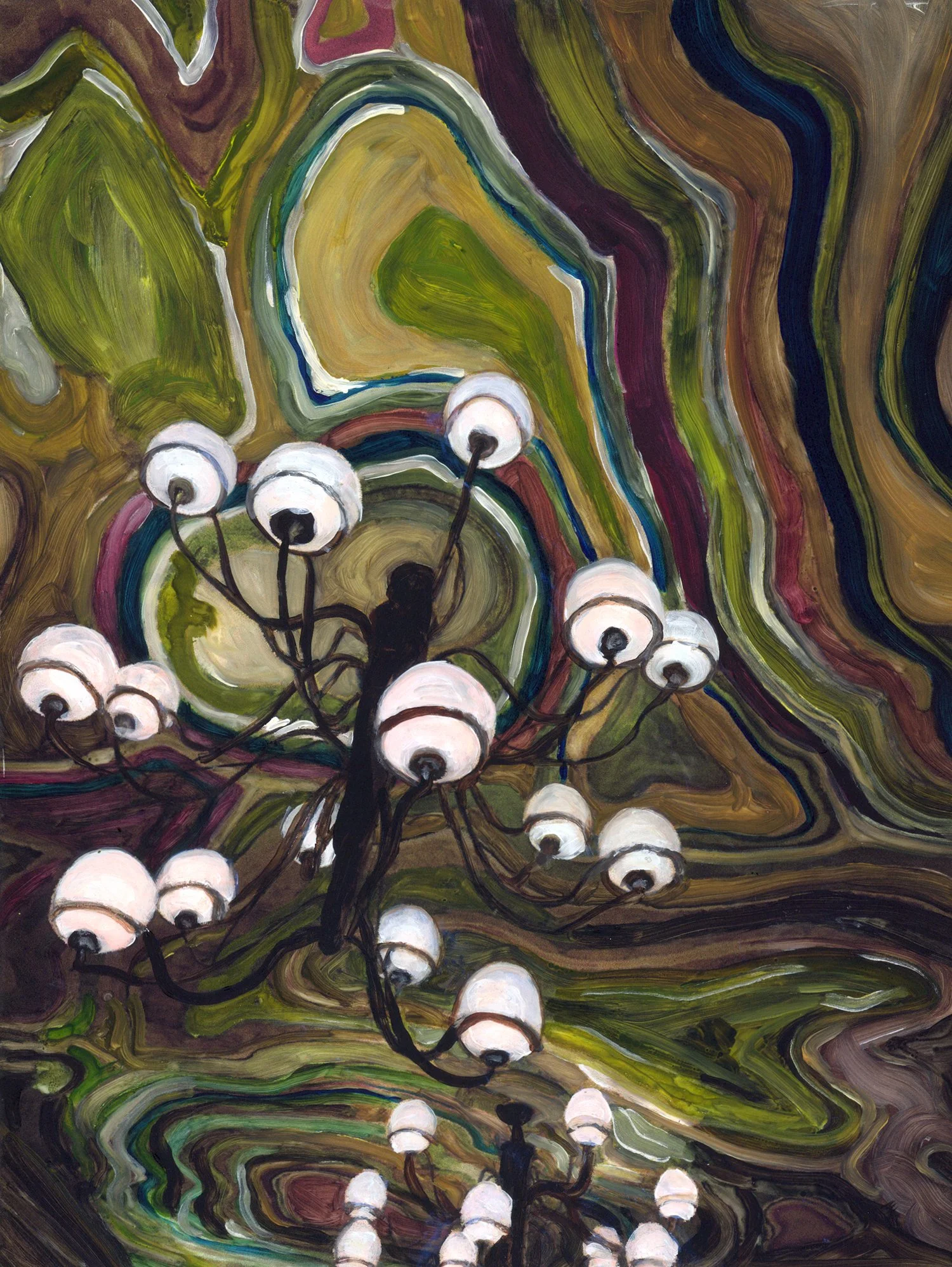 cielings of perception