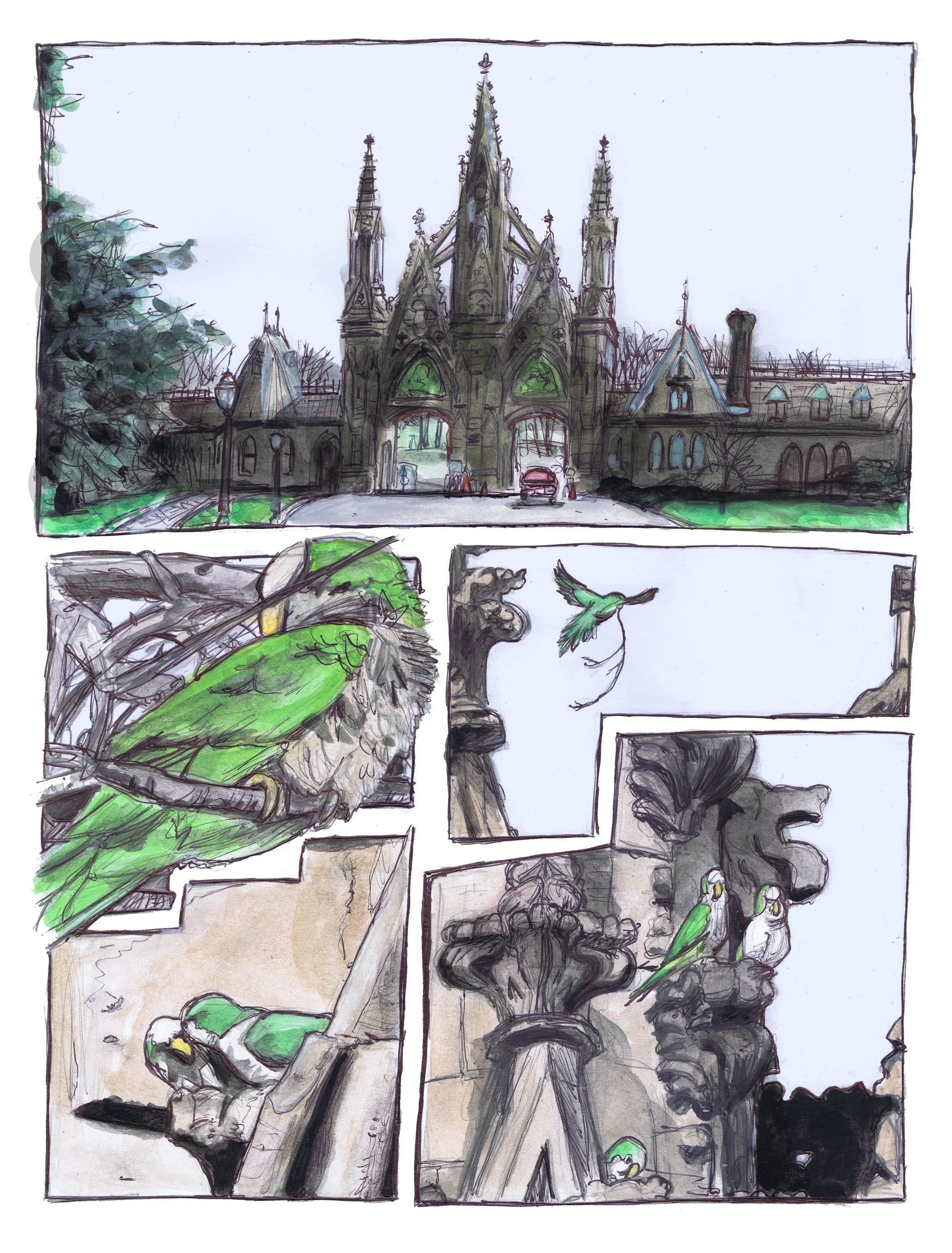 The Wild Parrots of Greenwood Cemetery