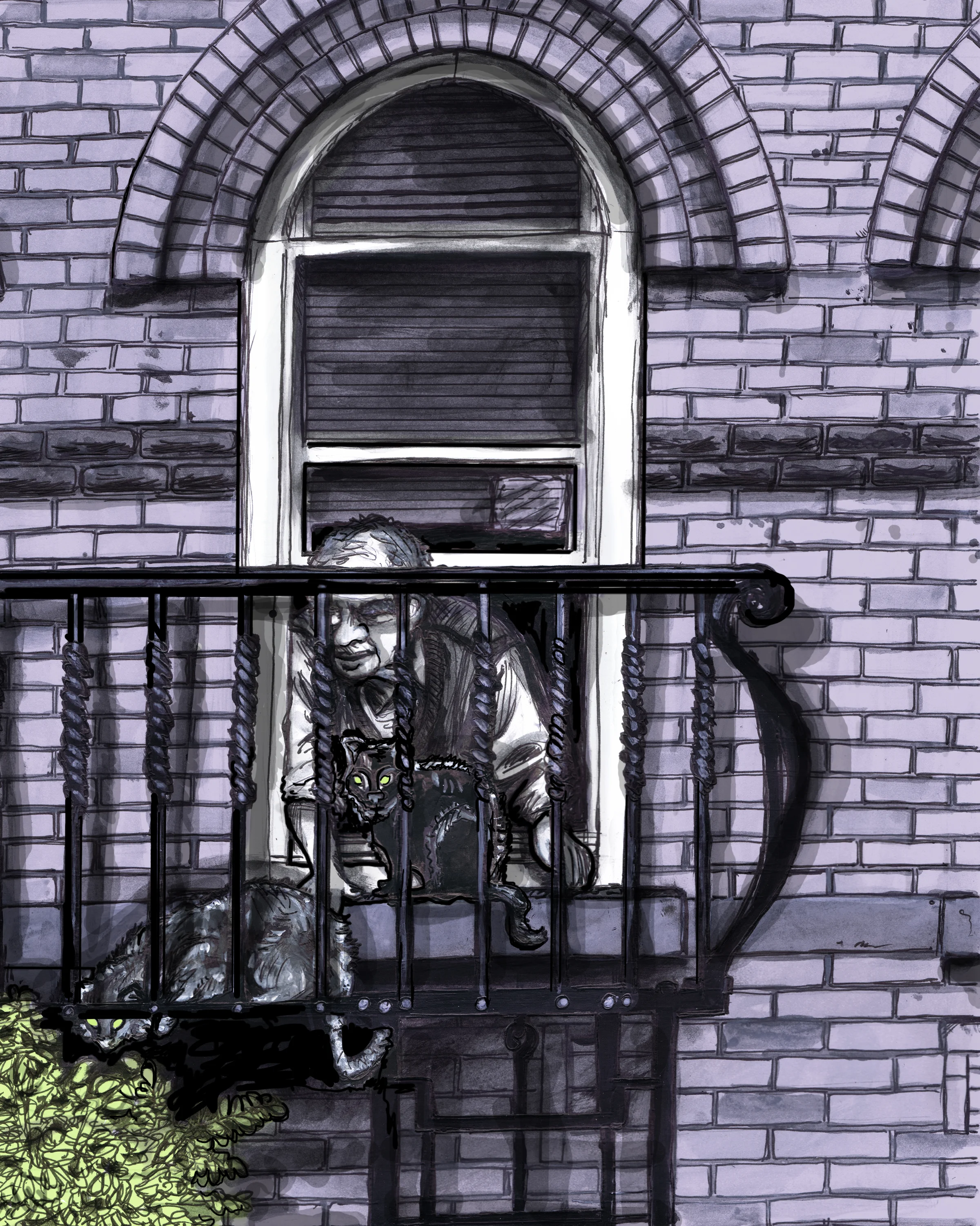 My Neighbor Across the Way