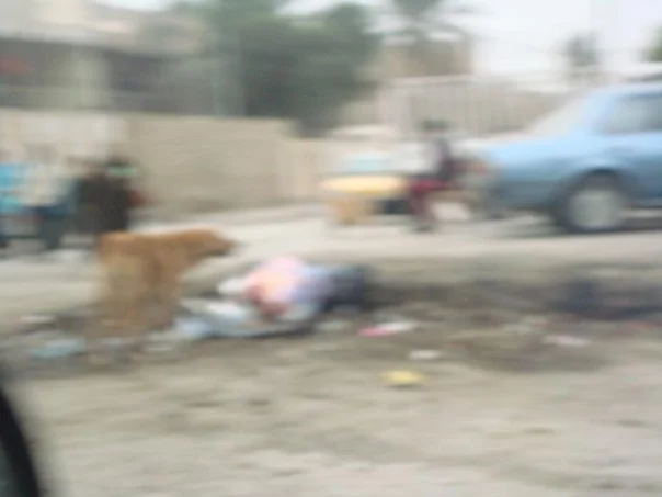 Saif AlSaegh - Baghdad, 2009 (Digital)