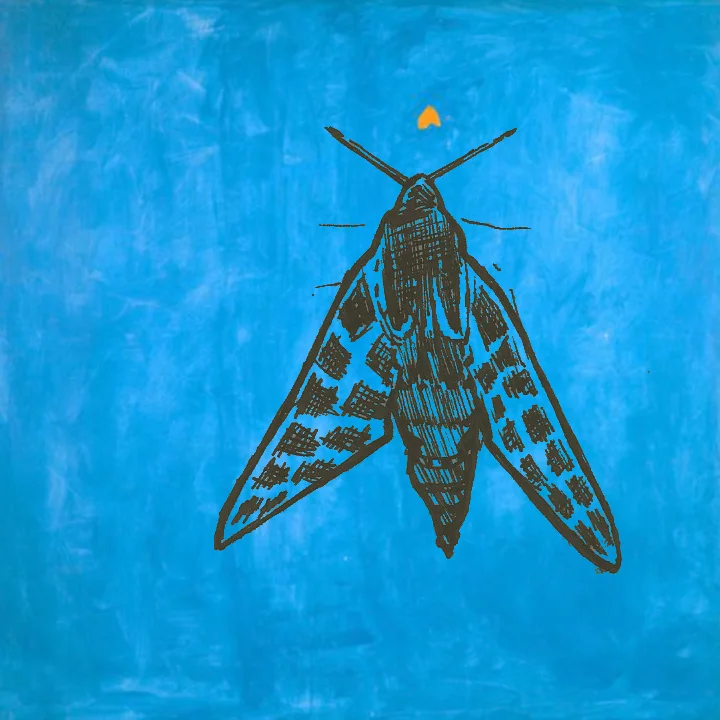Credit: Cat Dossett over Betty Parsons' "The Moth" (1969)