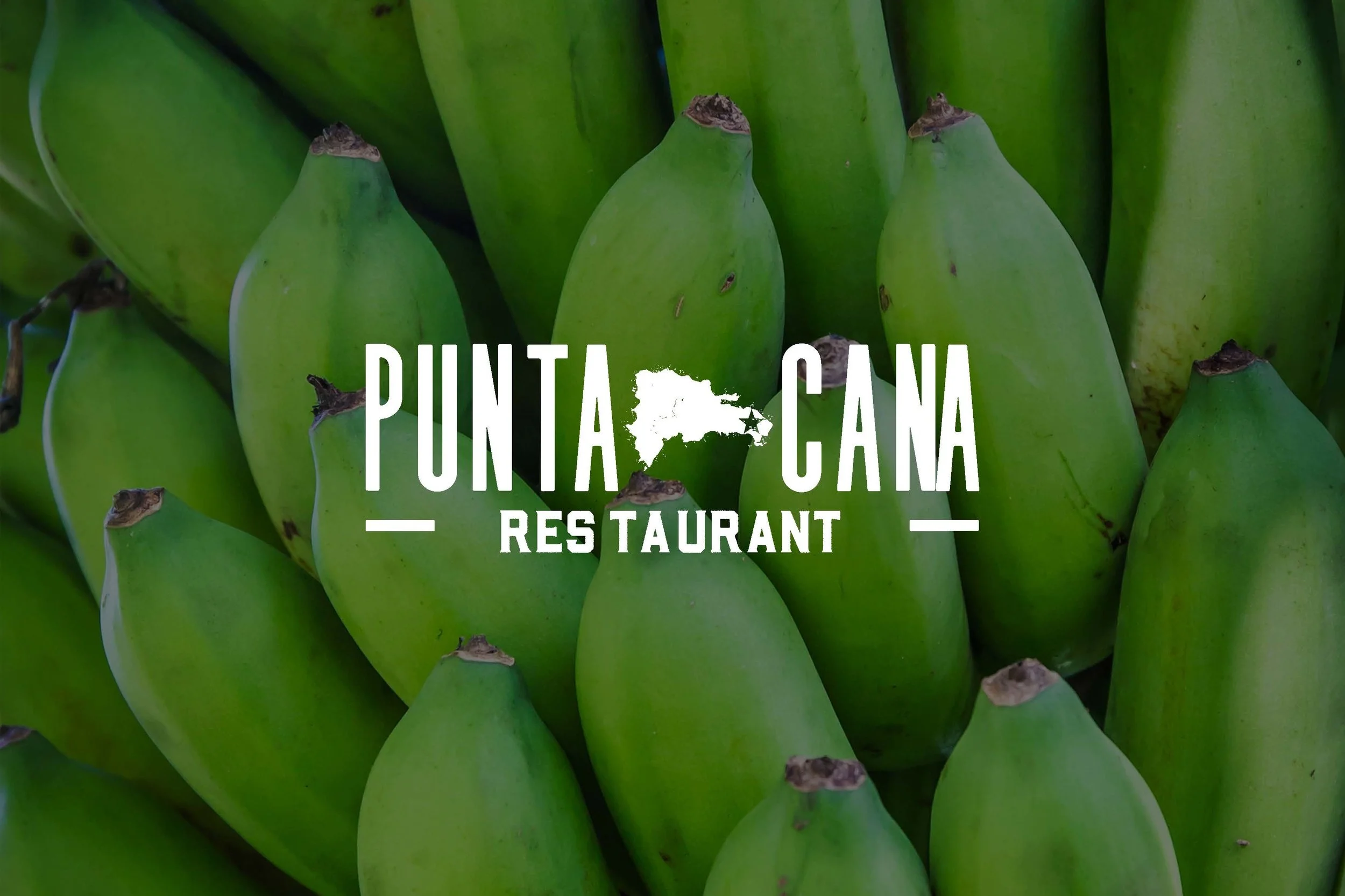 PuntaCana_Logo_Proposal_Page_1.jpg
