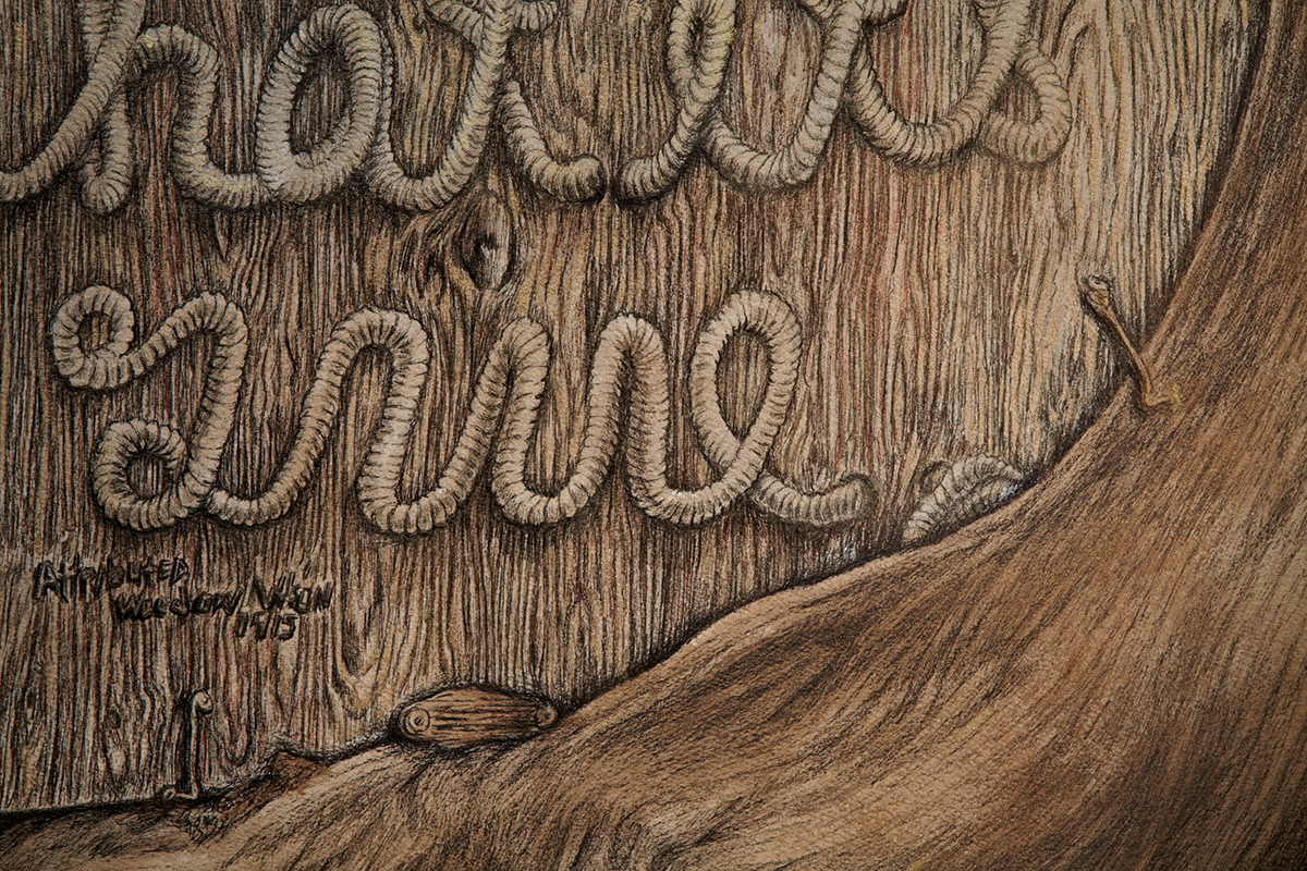 The Birth of a Nation, 2015 (detail)