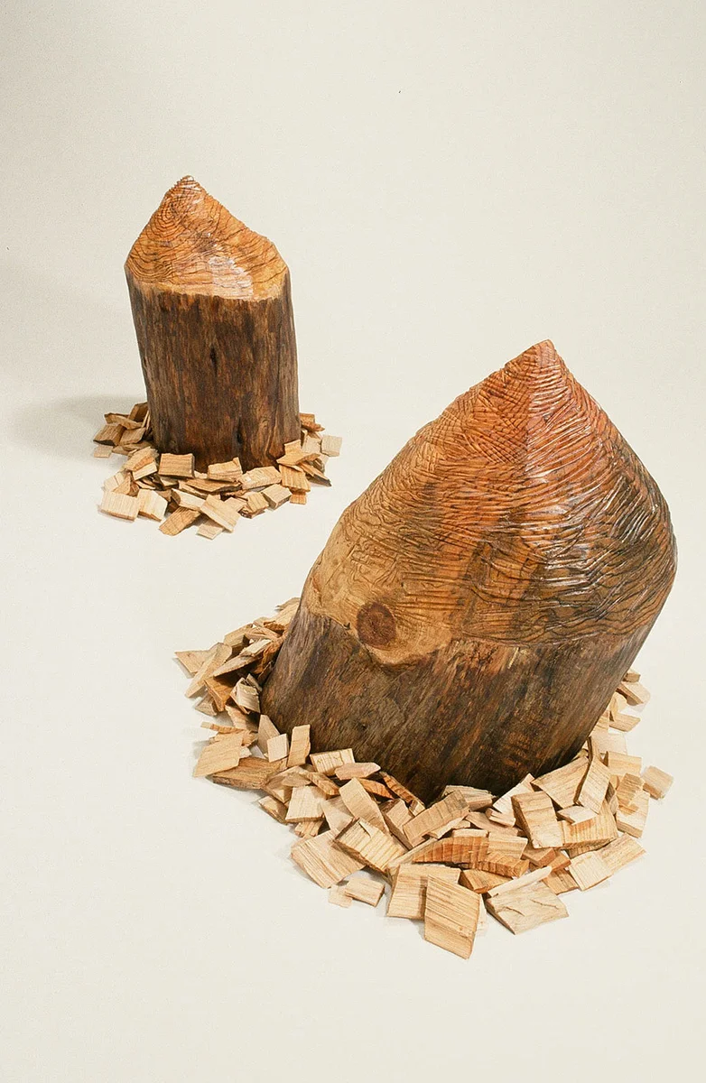 Beaver Chews, 1993