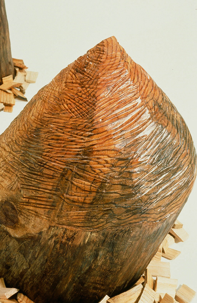 Beaver Chews, 1993 (detail)