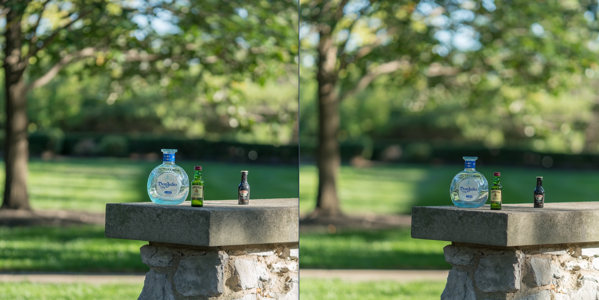 Left: Sony 90mm @ f/2.8 --- Right: Carl Zeiss 85mm @ f/1.8