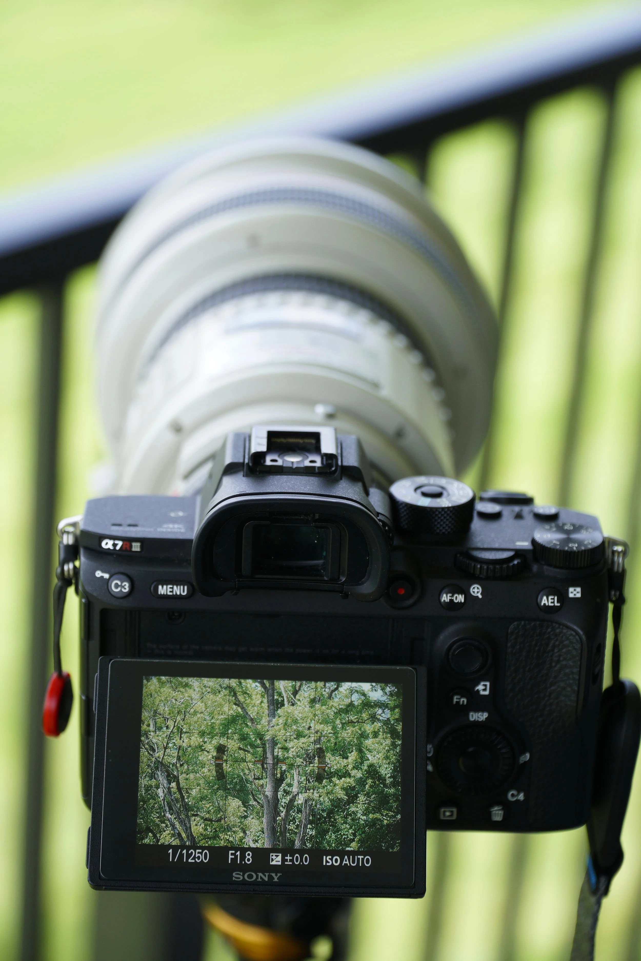 Autofocus is fast and accurate at any aperture