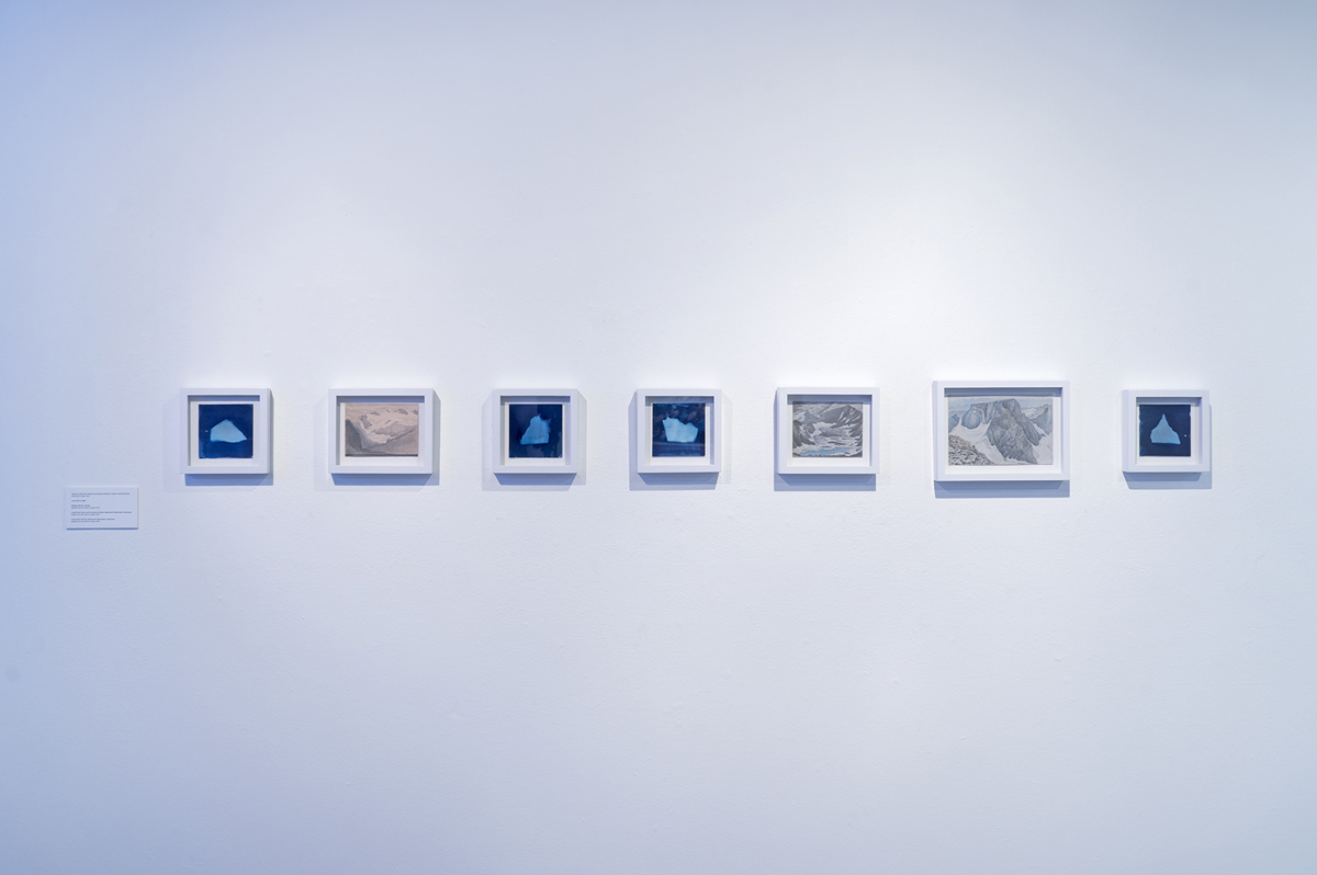 Here and There Suite . Drawings and Cyanotypes. Variable Dimensions. 2016.