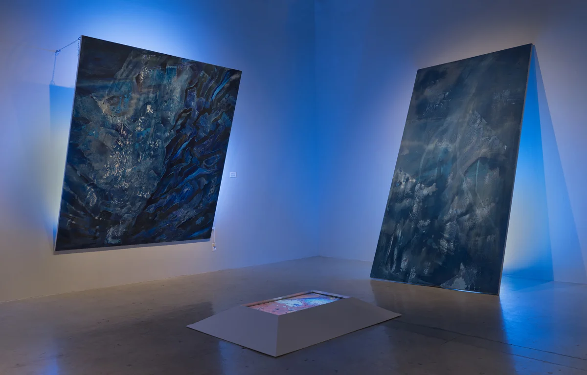 A Geology of the Senses. Installation view. Variable Dimensions. 2017.