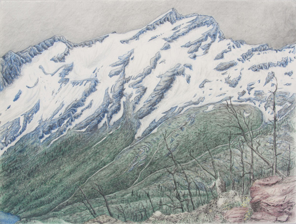 Swan: Bob Marshall Wilderness. Graphite and color pencil. 18"x24". 2014.