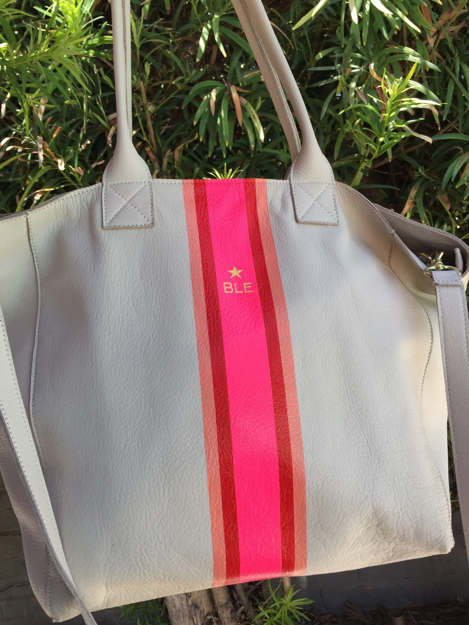 BLE bag agains plant.jpg