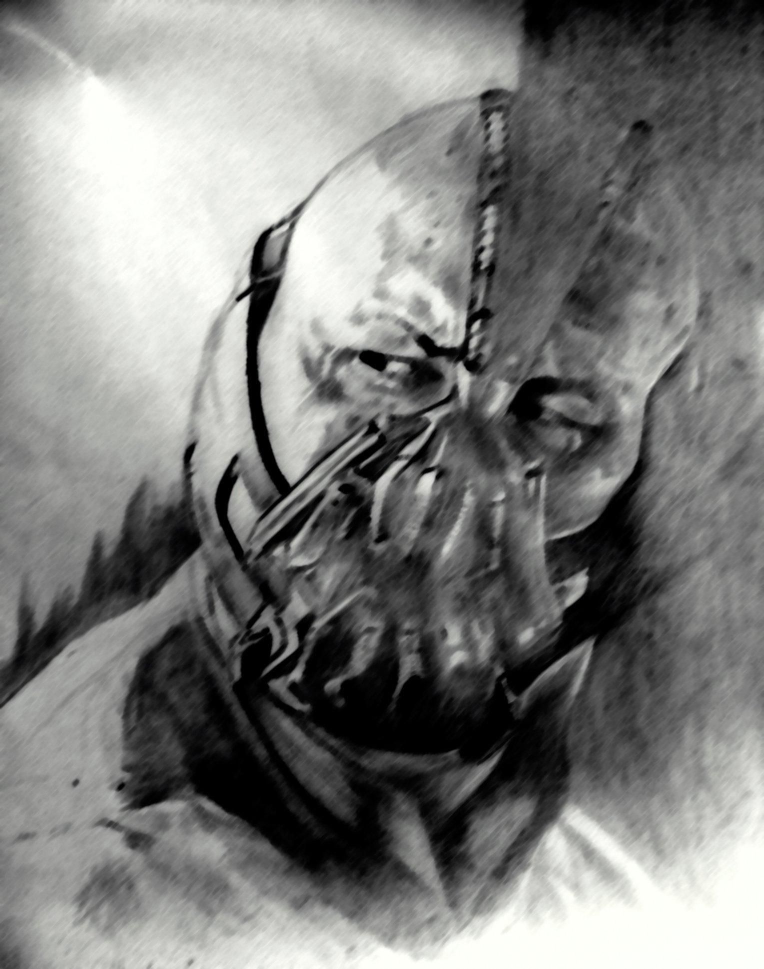 Bane Drawing