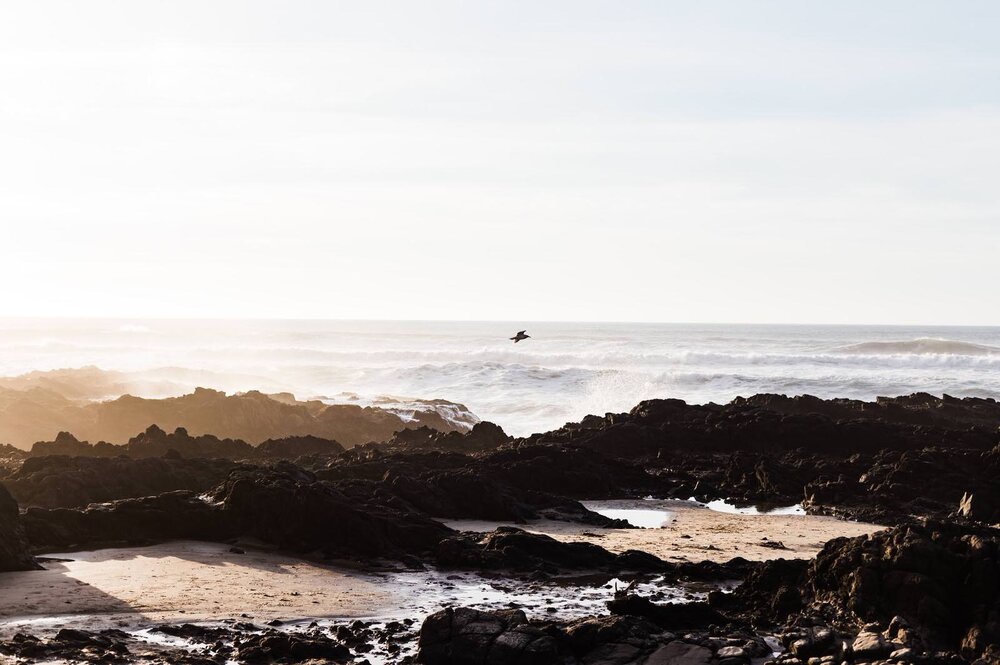 Visiting Yachats Oregon