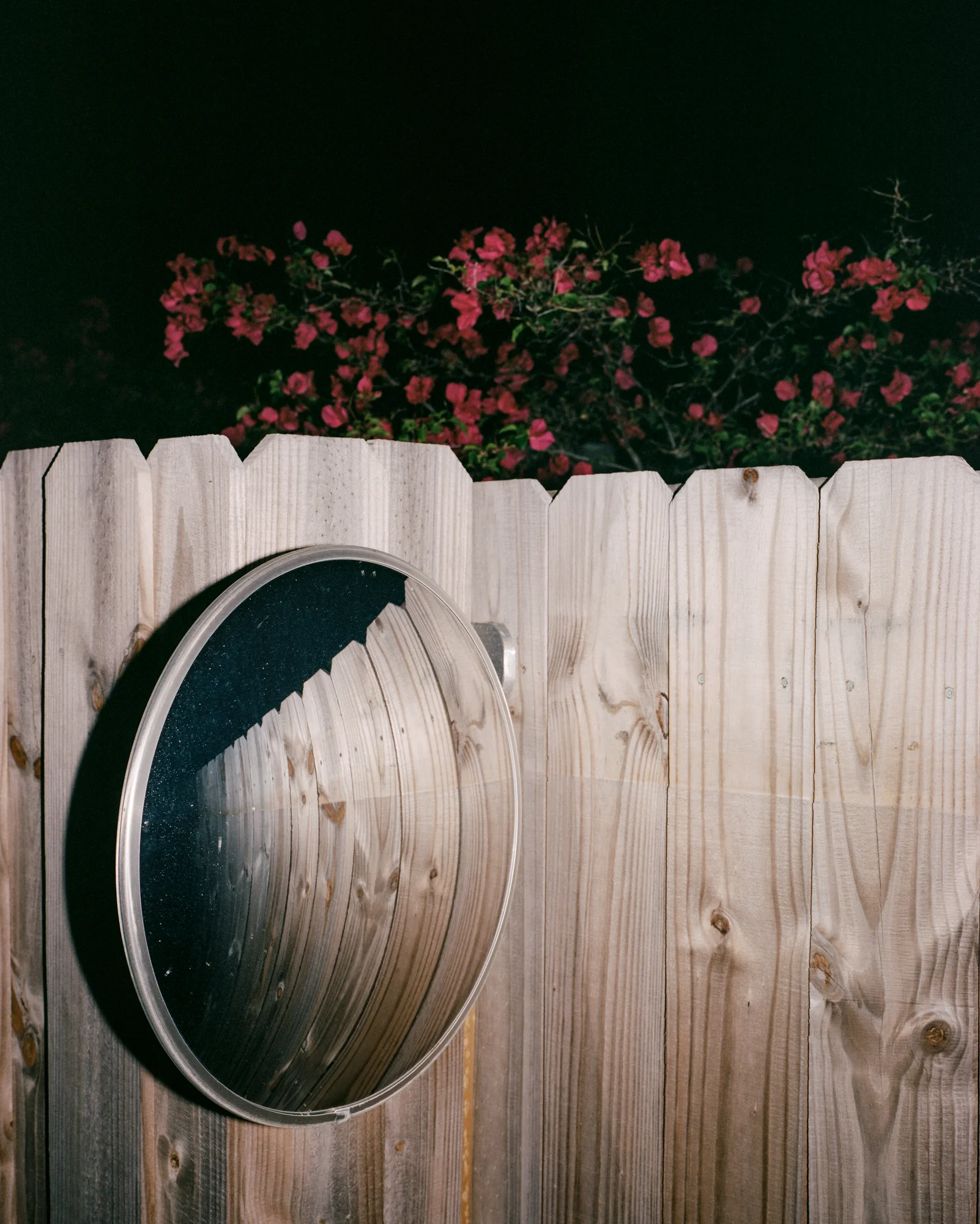 Michael Dillow