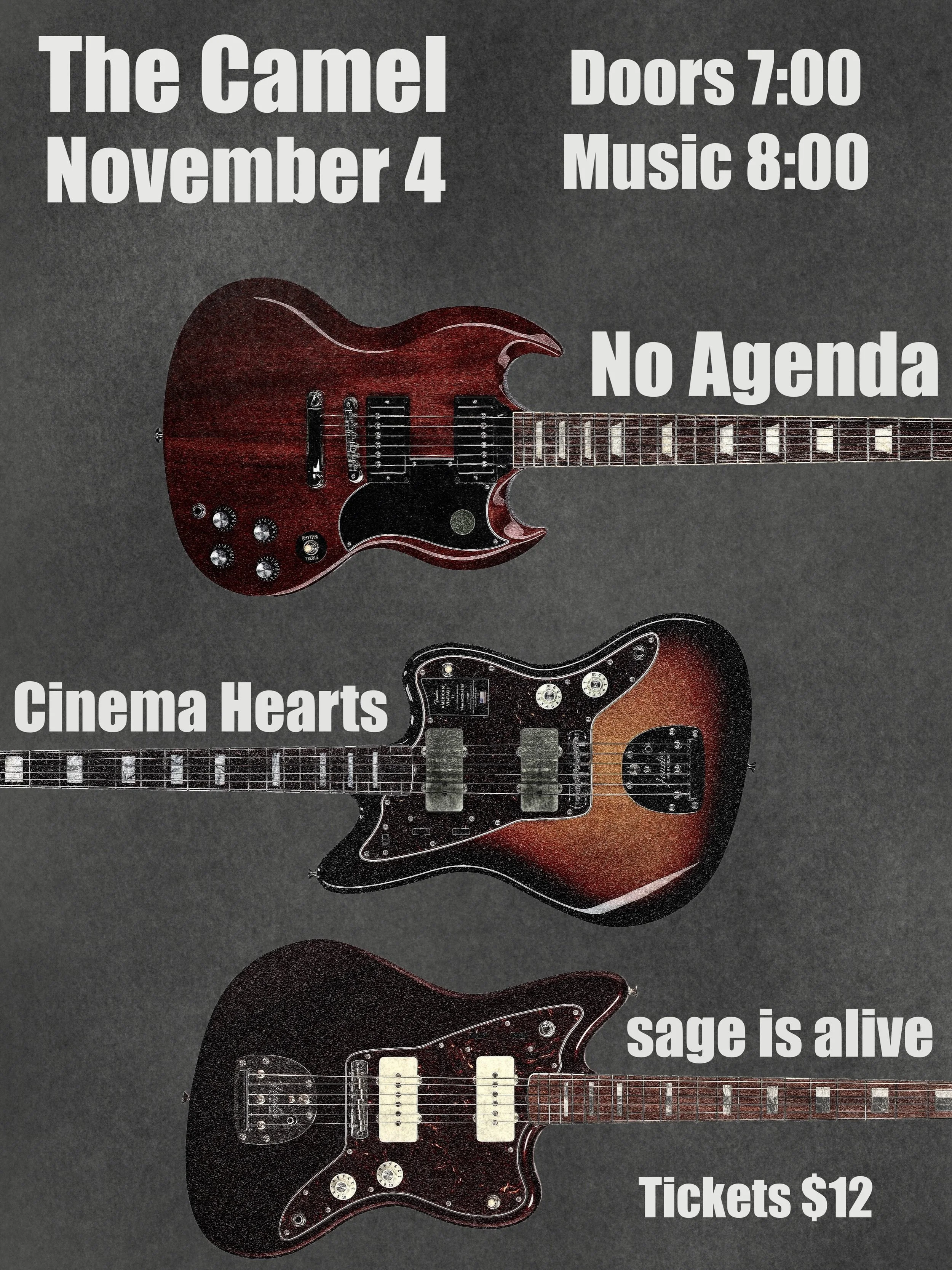 coming up in Richmond! Three Virginia bands play at @thecamelrva for Women Crush Wednesday on Nov 4. Alt rock @cinema_hearts from NoVA/DC with blues rock @noagenda.va from Norfolk and emo @sageisalive0 from Charlottesville. Tickets on sale now ❤️&zwj