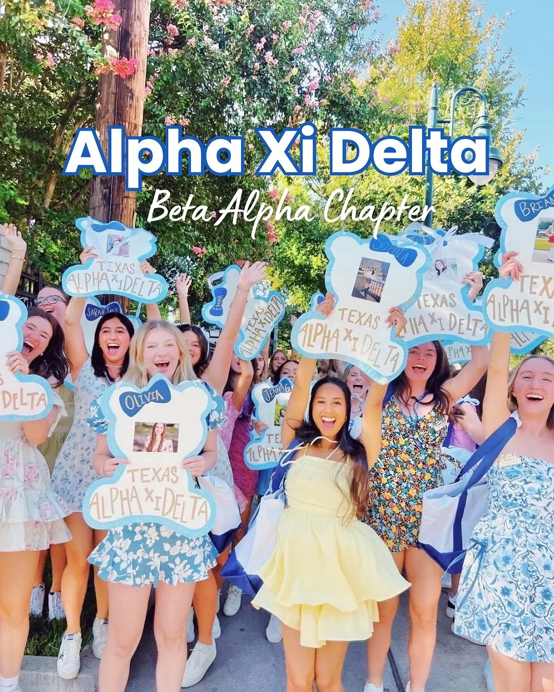 Introducing Alpha Xi Delta, Beta Alpha Chapter!!💙 #gogreek #texaspanhellenic