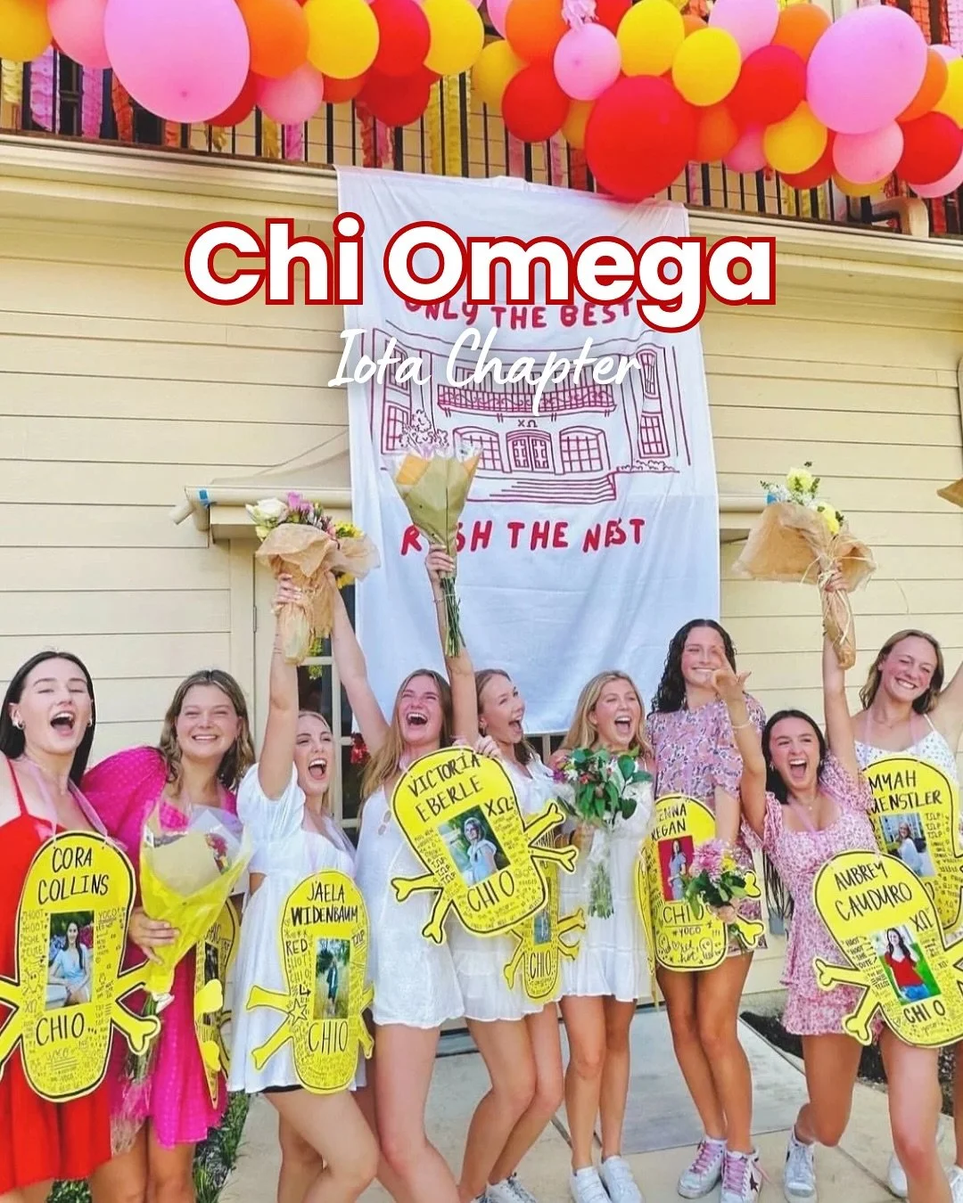 Introducing Chi Omega, Iota Chapter!!🦉 #gogreek #texaspanhellenic